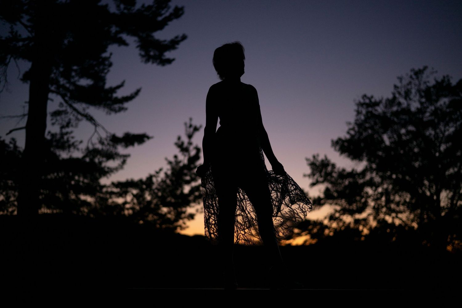 Silhouettes of people against dramatic sunset sky with pine trees.