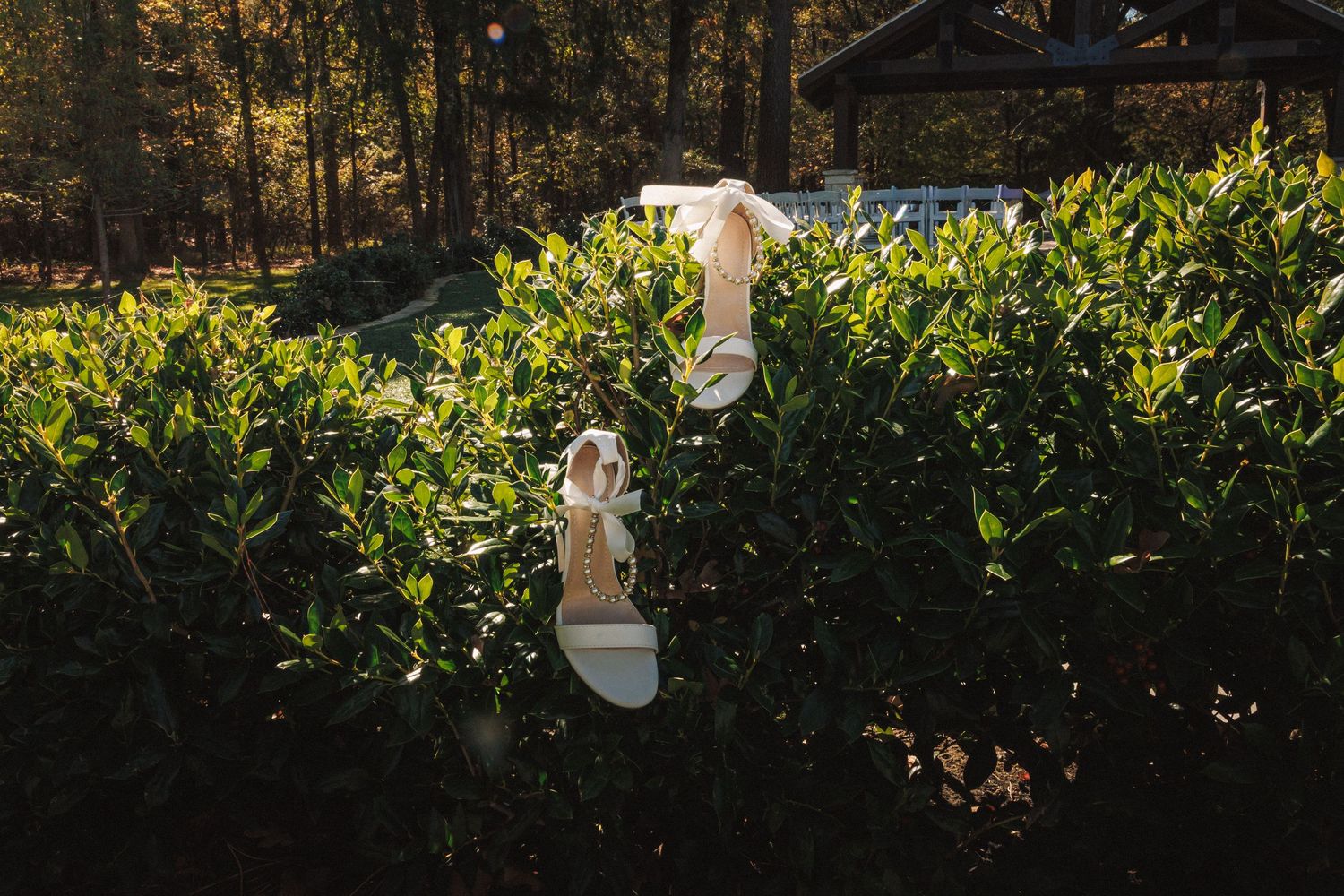 White bridal heels resting on lush green bushes in a sunlit outdoor garden setting.