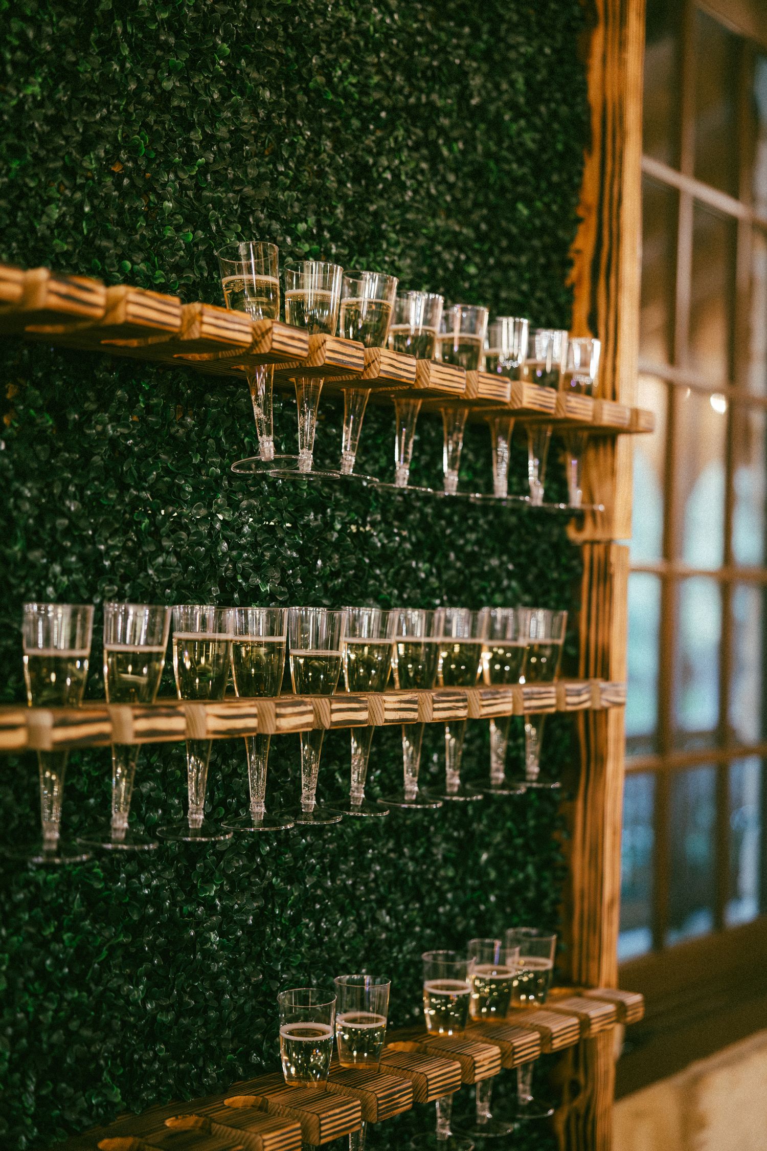 Elegant champagne flute wall display on wooden shelves against lush green hedge at wedding reception.