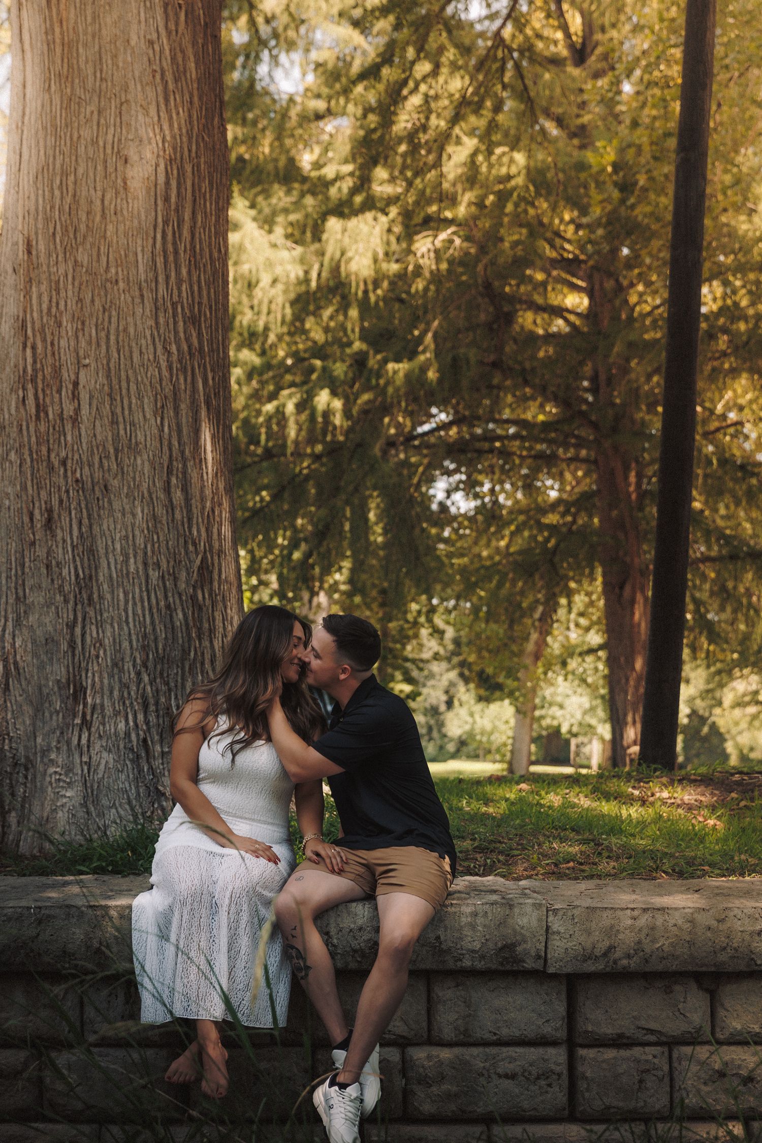 A couple shares intimate moments while sitting on a stone wall surrounded by tall trees in golden sunlight.