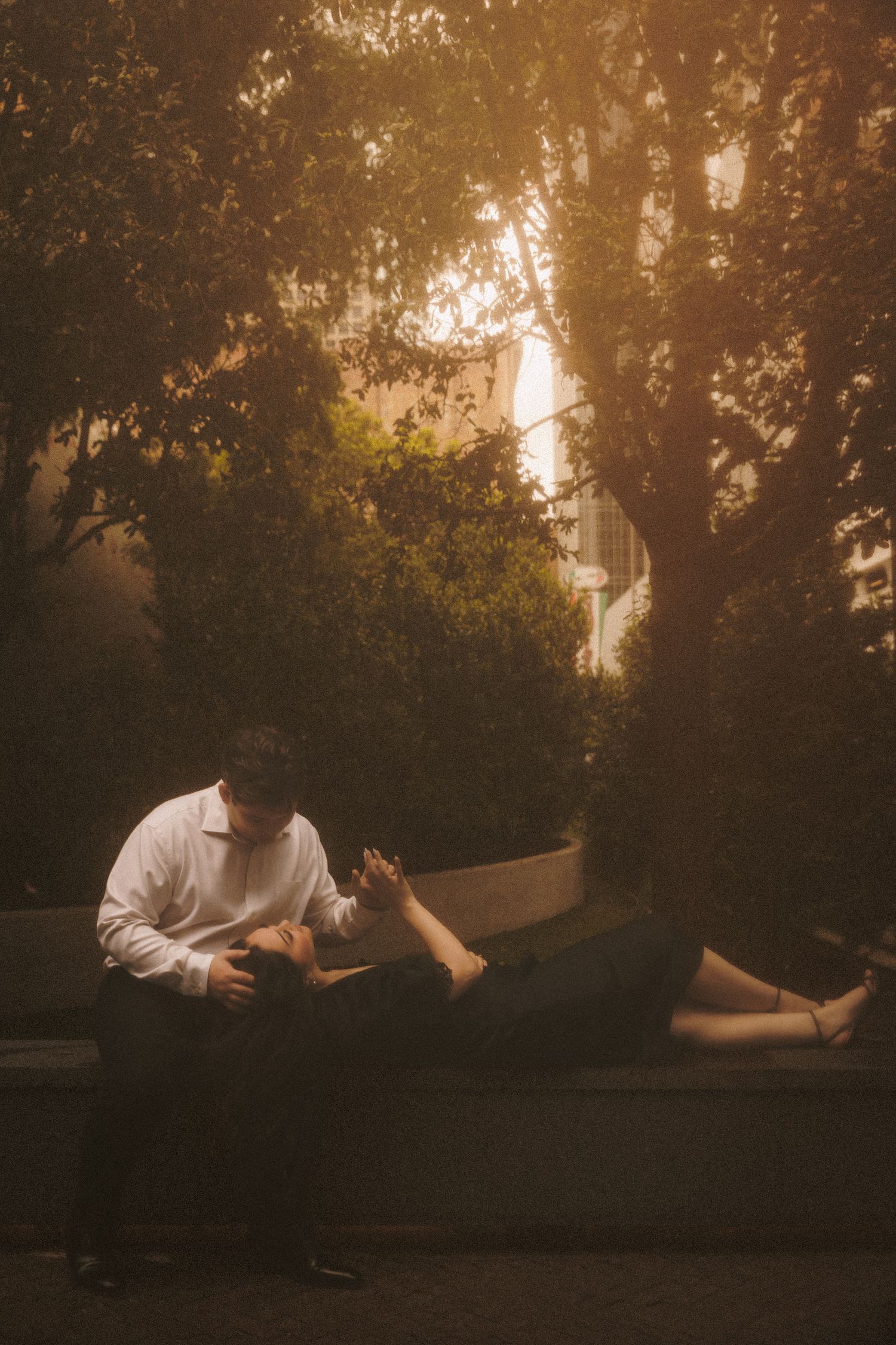 A couple shares an intimate moment on a park bench surrounded by lush green trees at golden hour.