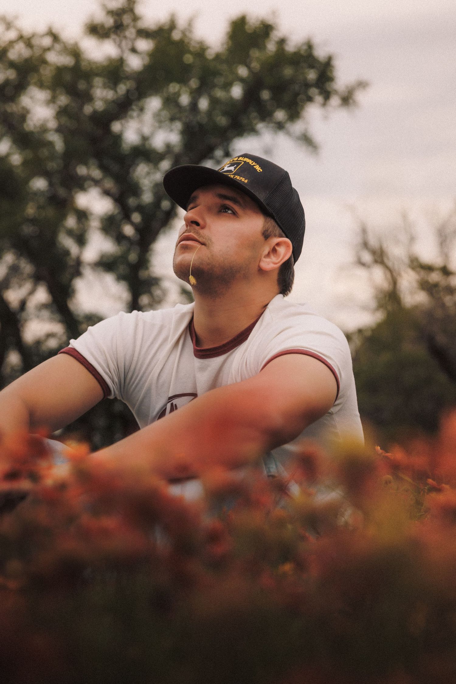 Person wearing a black cap looks up at the sky through vibrant red flowers in foreground at golden hour.