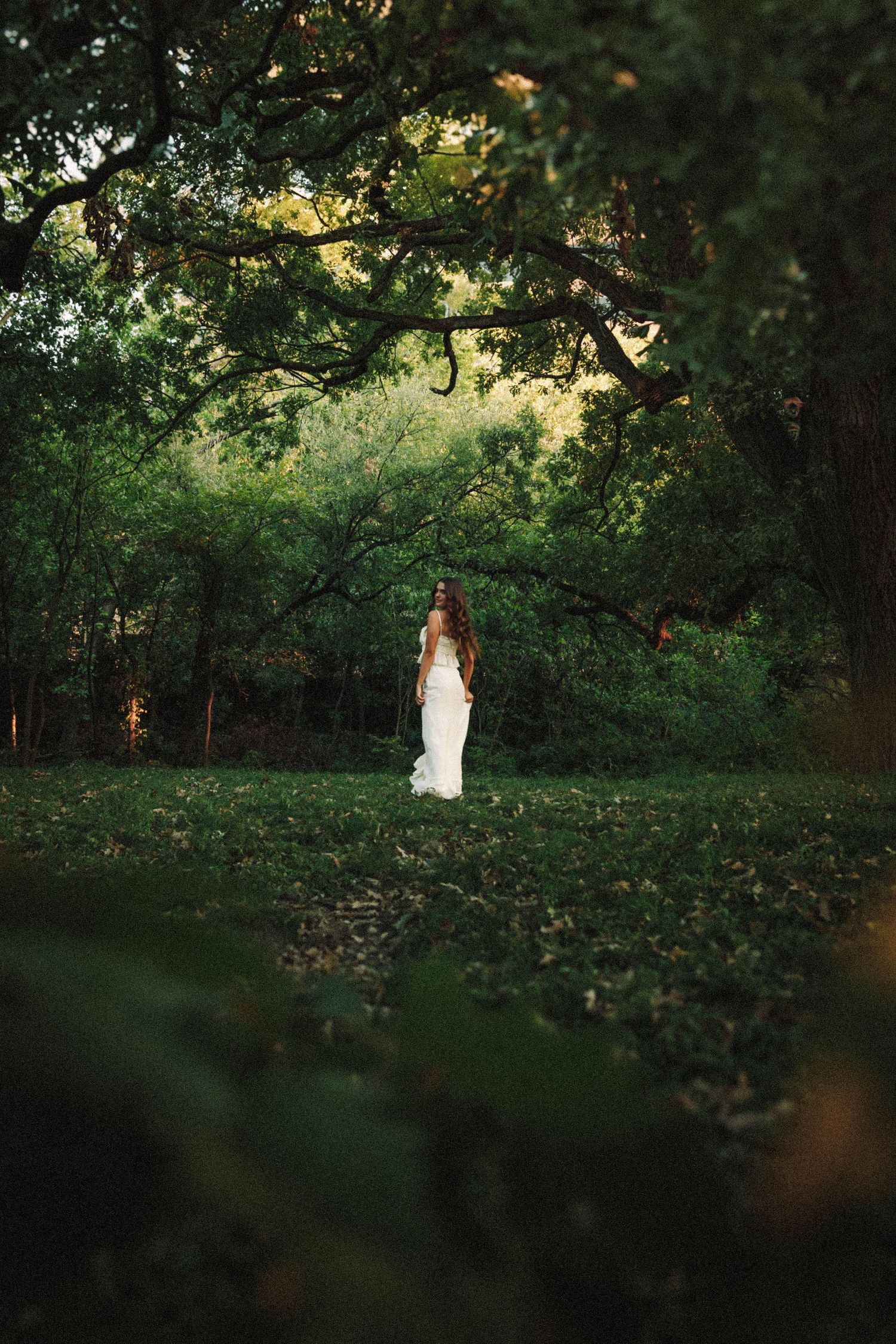 A person in a white dress stands in a sunlit wooded area surrounded by lush green foliage at golden hour.