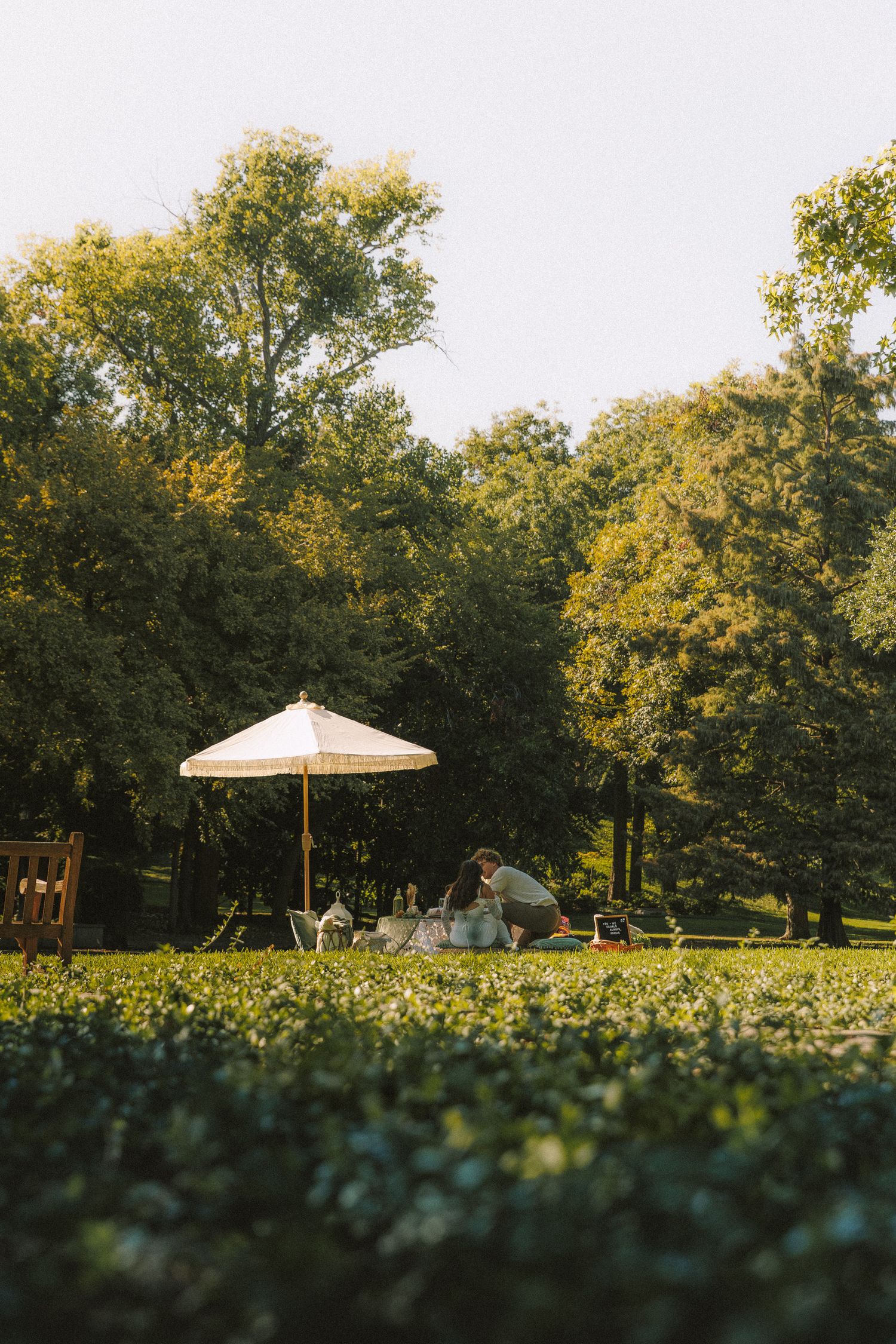 Scenic outdoor garden view with white umbrella parasol and lush greenery against a tree-lined backdrop at sunset.
