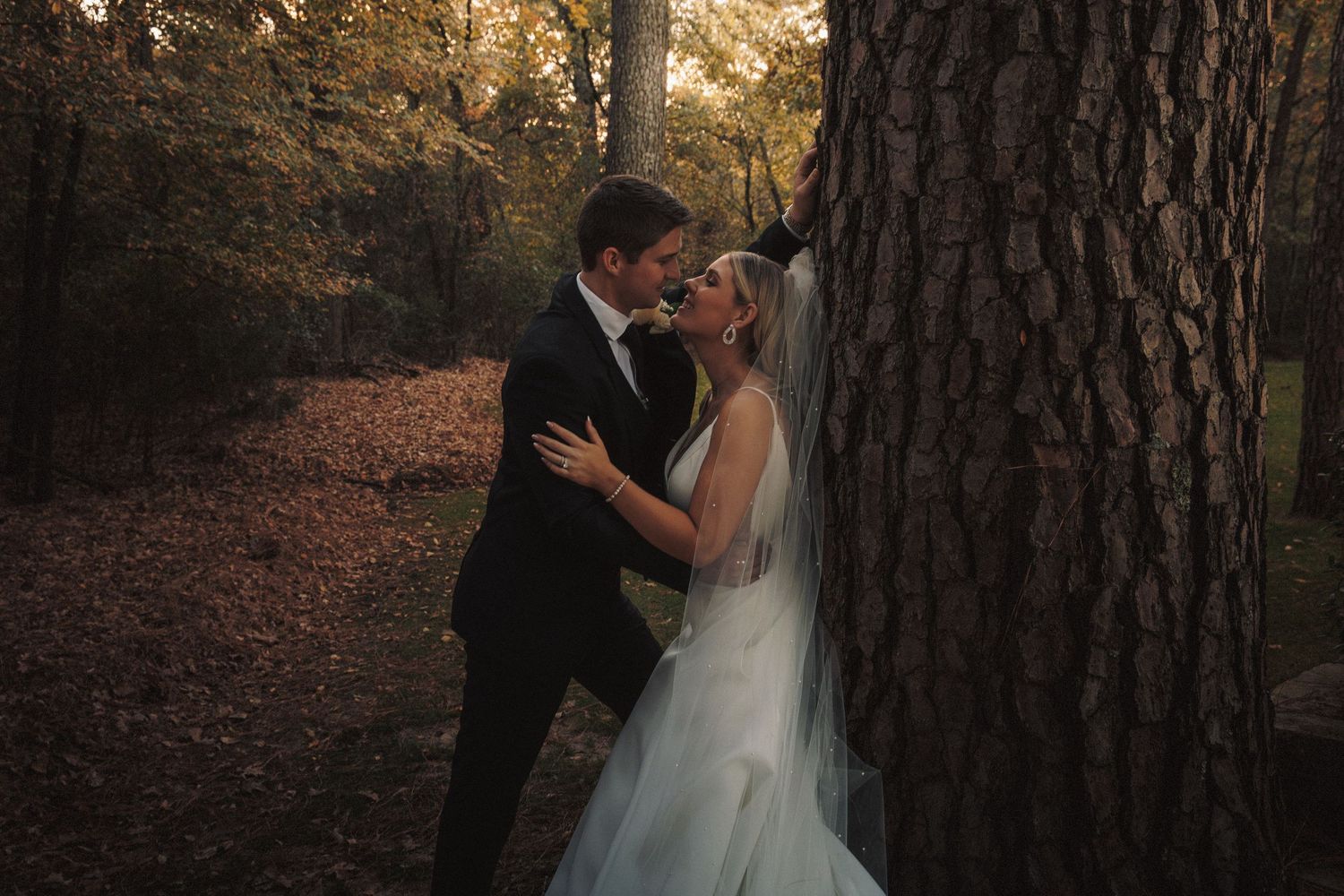 A bride and groom share a romantic kiss beside a large tree surrounded by golden fall foliage in a forest.