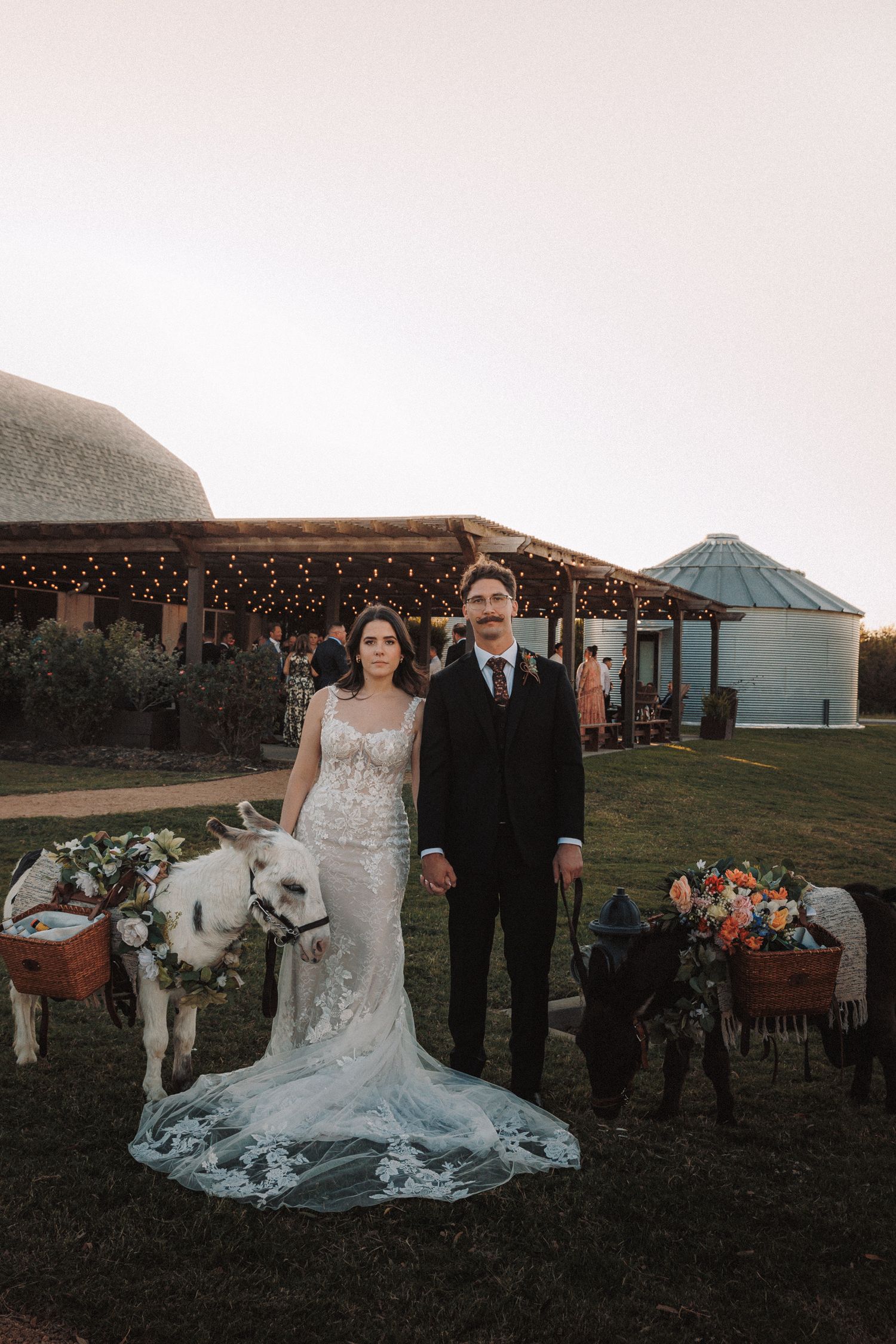 Bride and groom pose with flower-adorned donkeys at a rustic outdoor wedding venue.