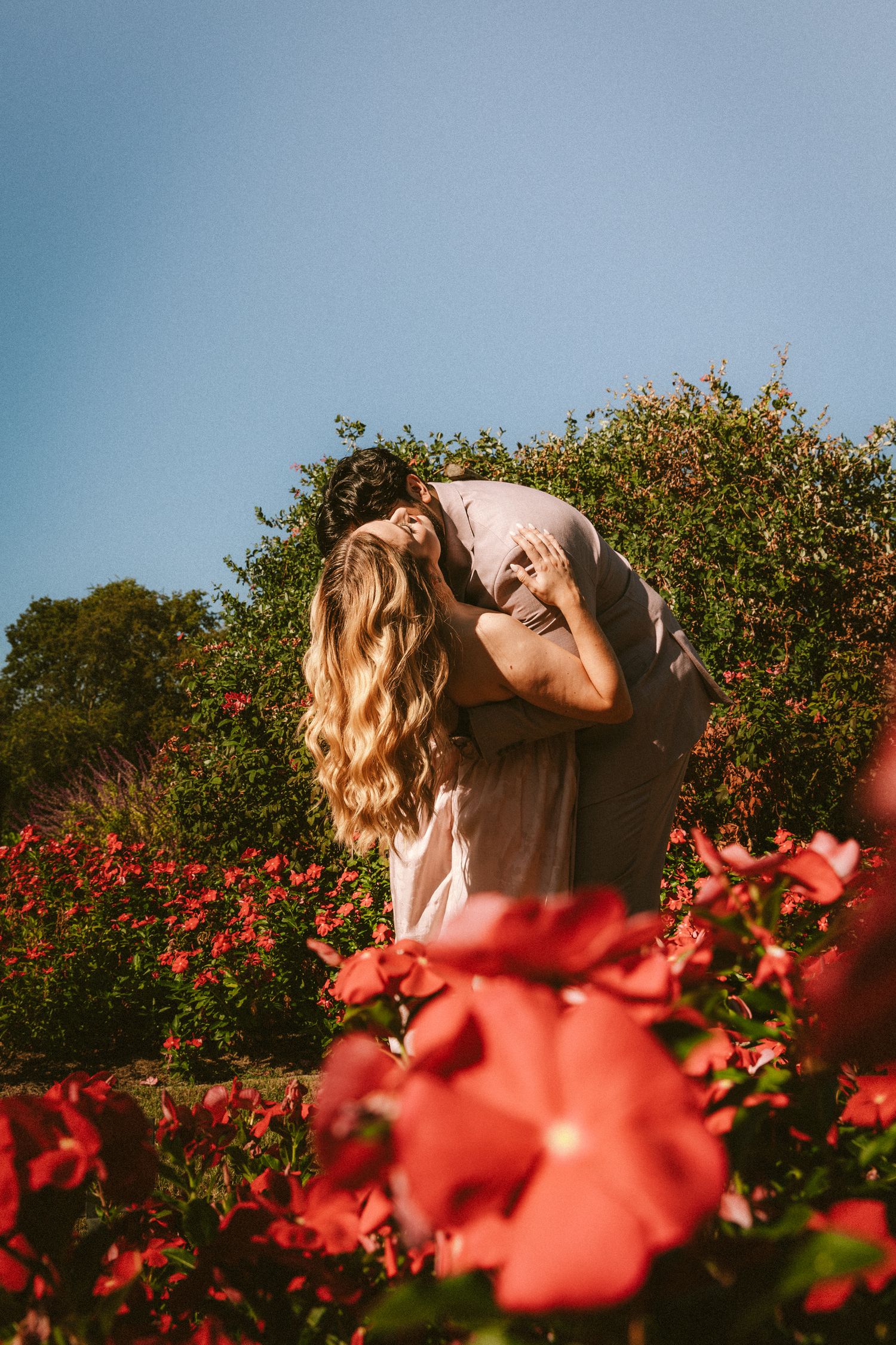 A romantic sunset photoshoot in a garden with red flowers in the foreground.