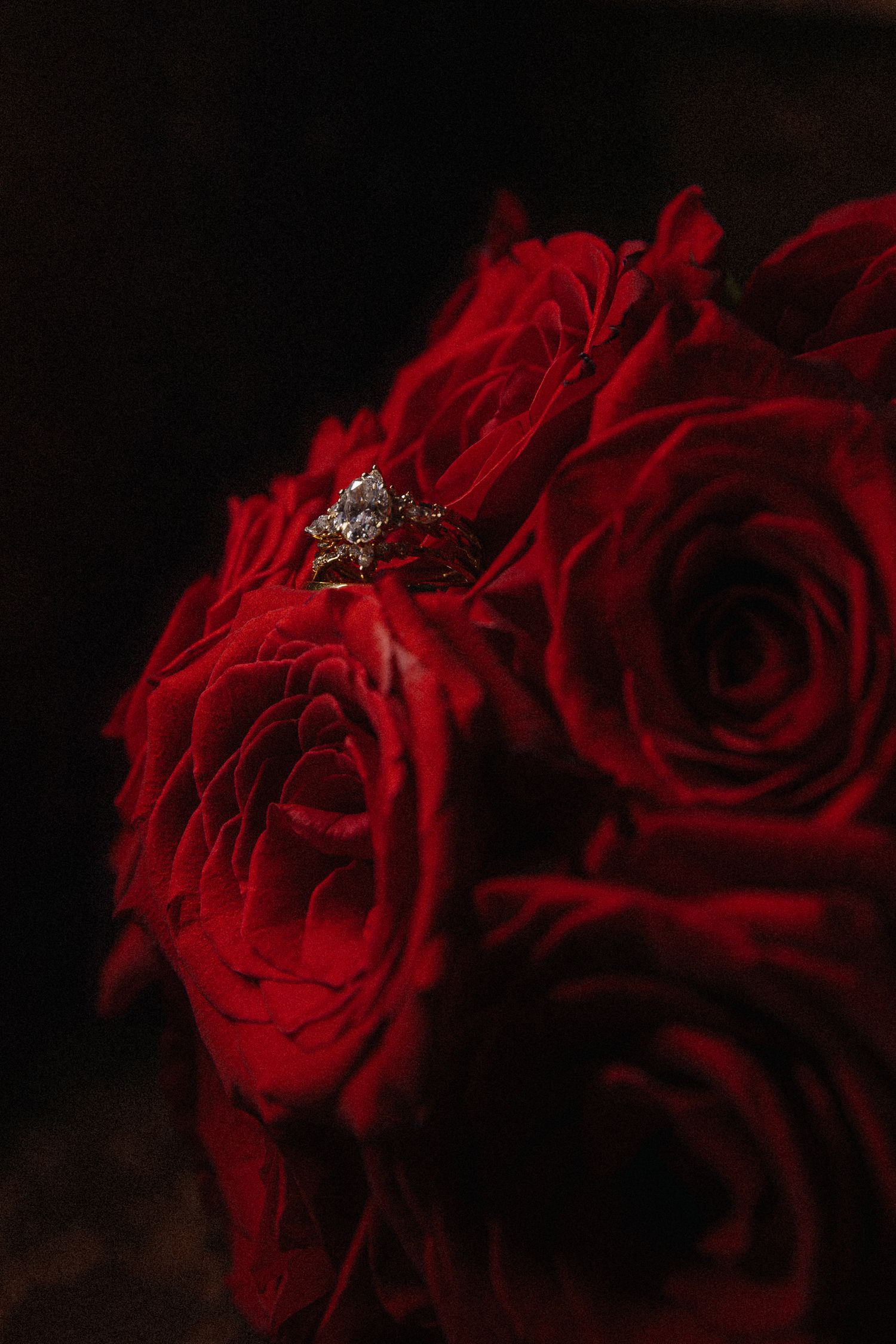 Diamond engagement ring resting on vibrant red roses against dark background.