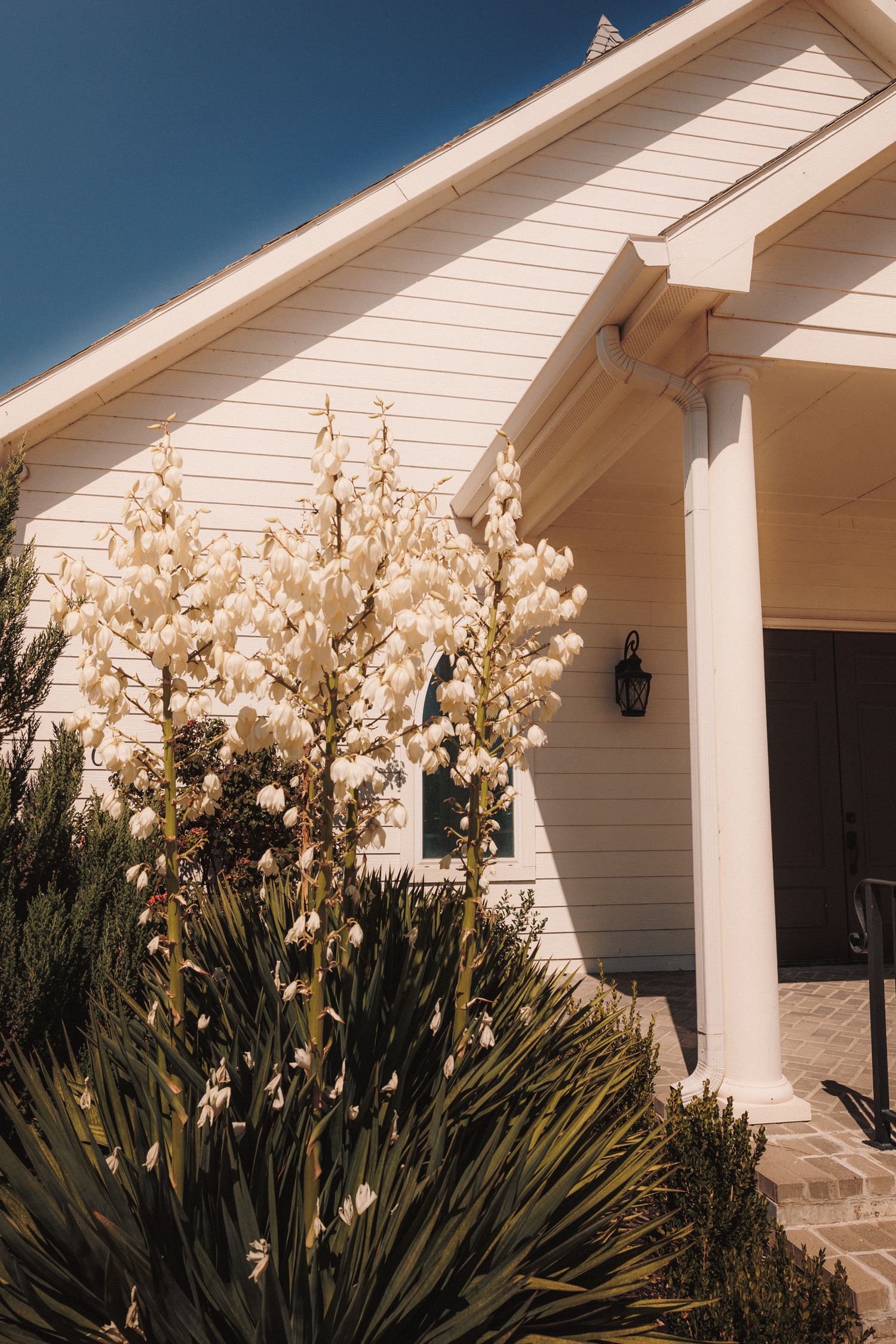 White chapel exterior with blooming yucca plants and classic columns under blue sky.