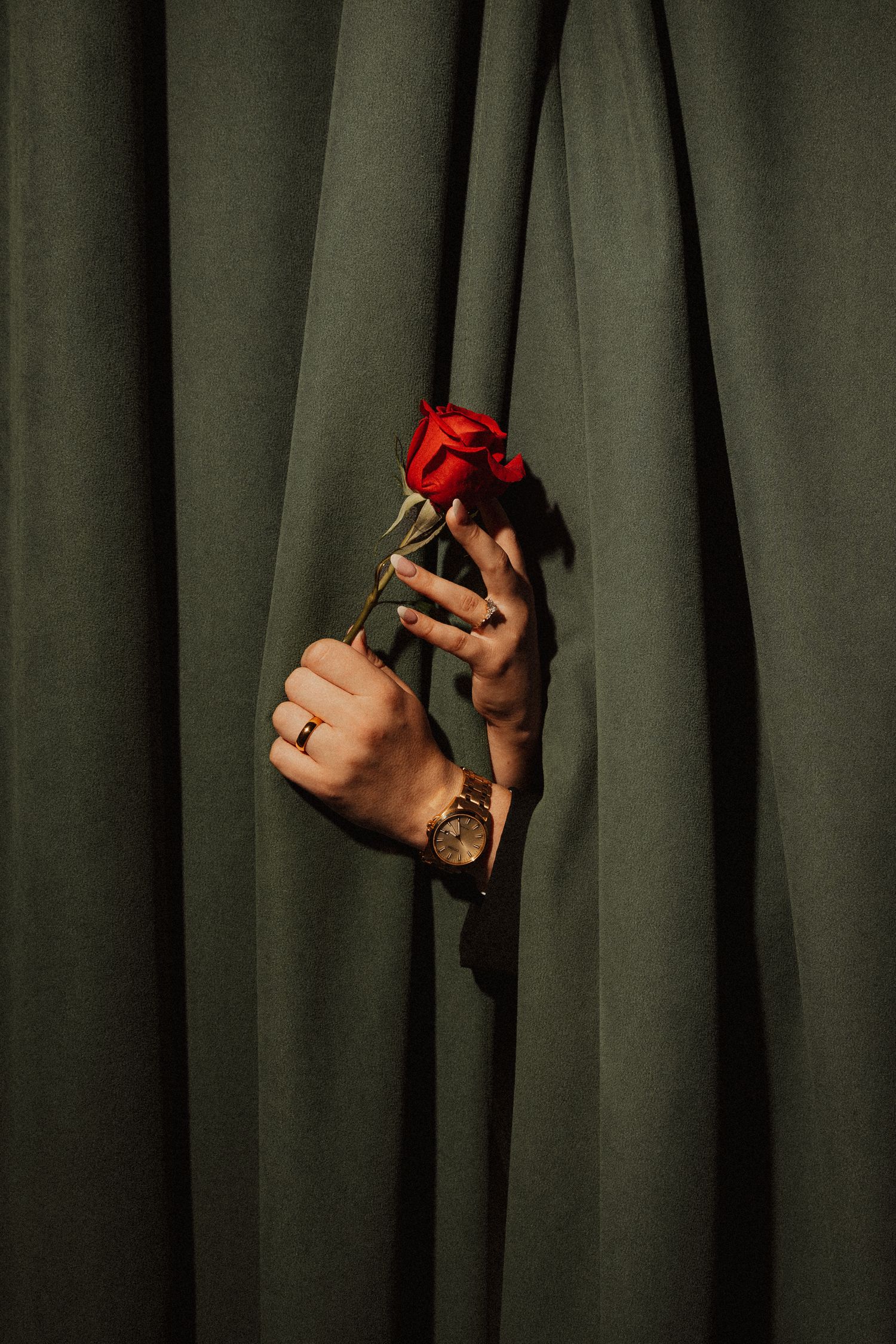 Two hands holding a single red rose emerging from green velvet curtain drapes.