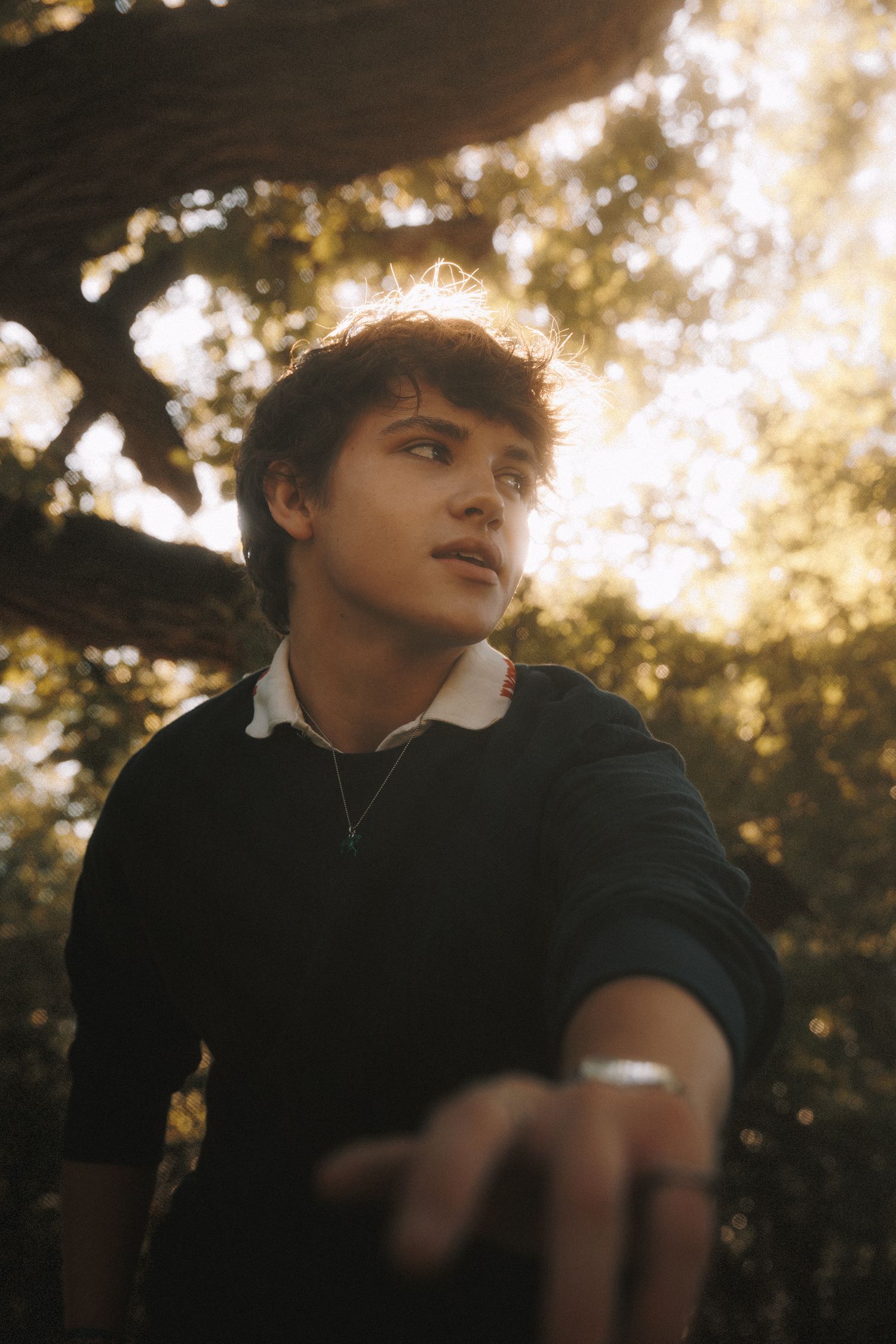 Atmospheric portrait sequence of someone looking up at golden sunlit trees during sunset.