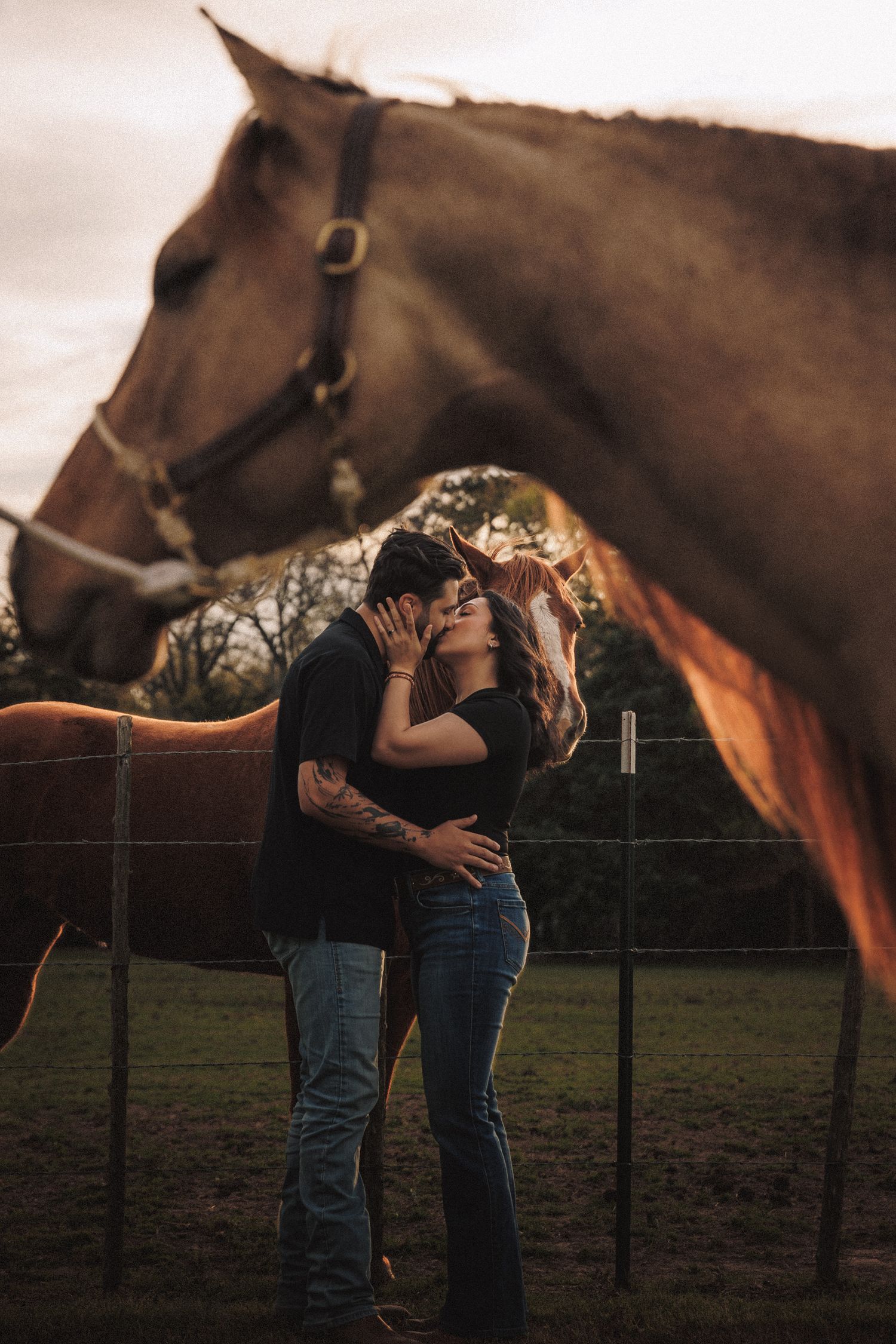 Couple sharing a romantic kiss beside a brown horse at golden hour on a farm.