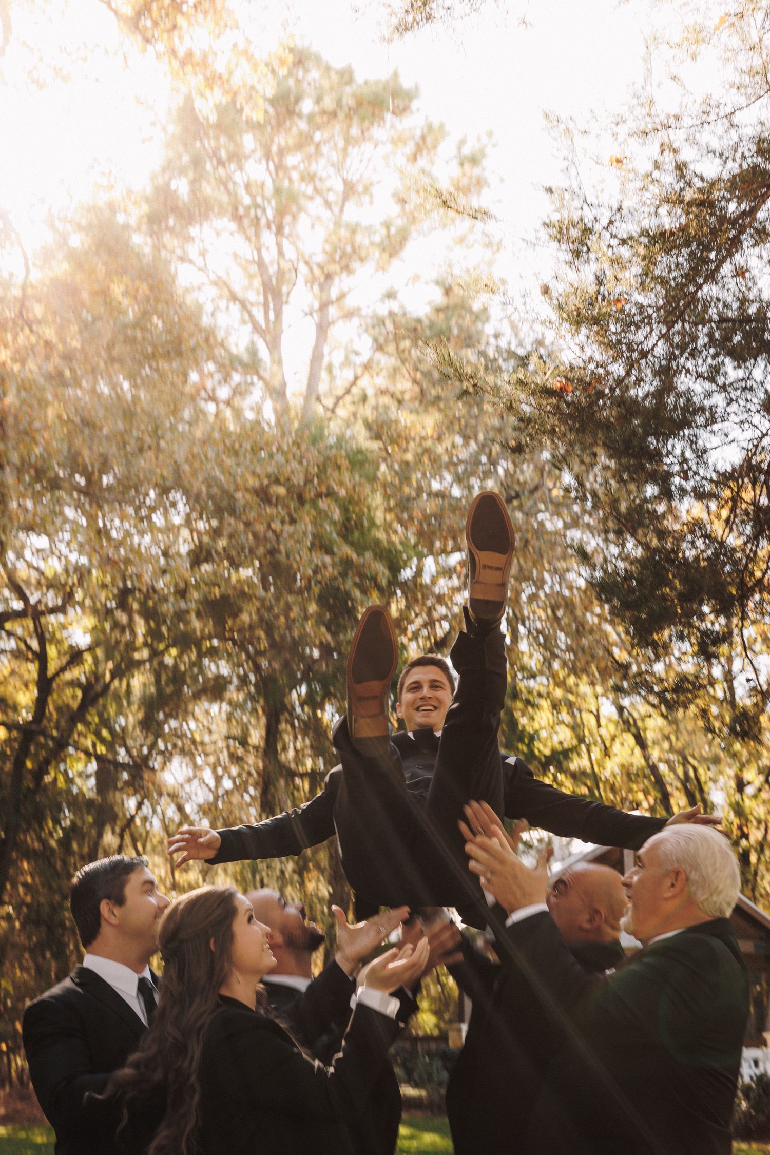 Groomsmen joyfully tossing smiling groom into the air in golden autumn sunlight surrounded by tall trees.