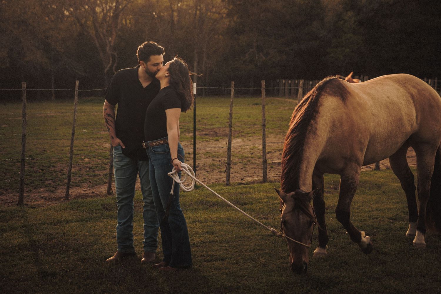 Couple sharing a romantic kiss while holding a horse on a lead rope in a golden sunset farm setting.