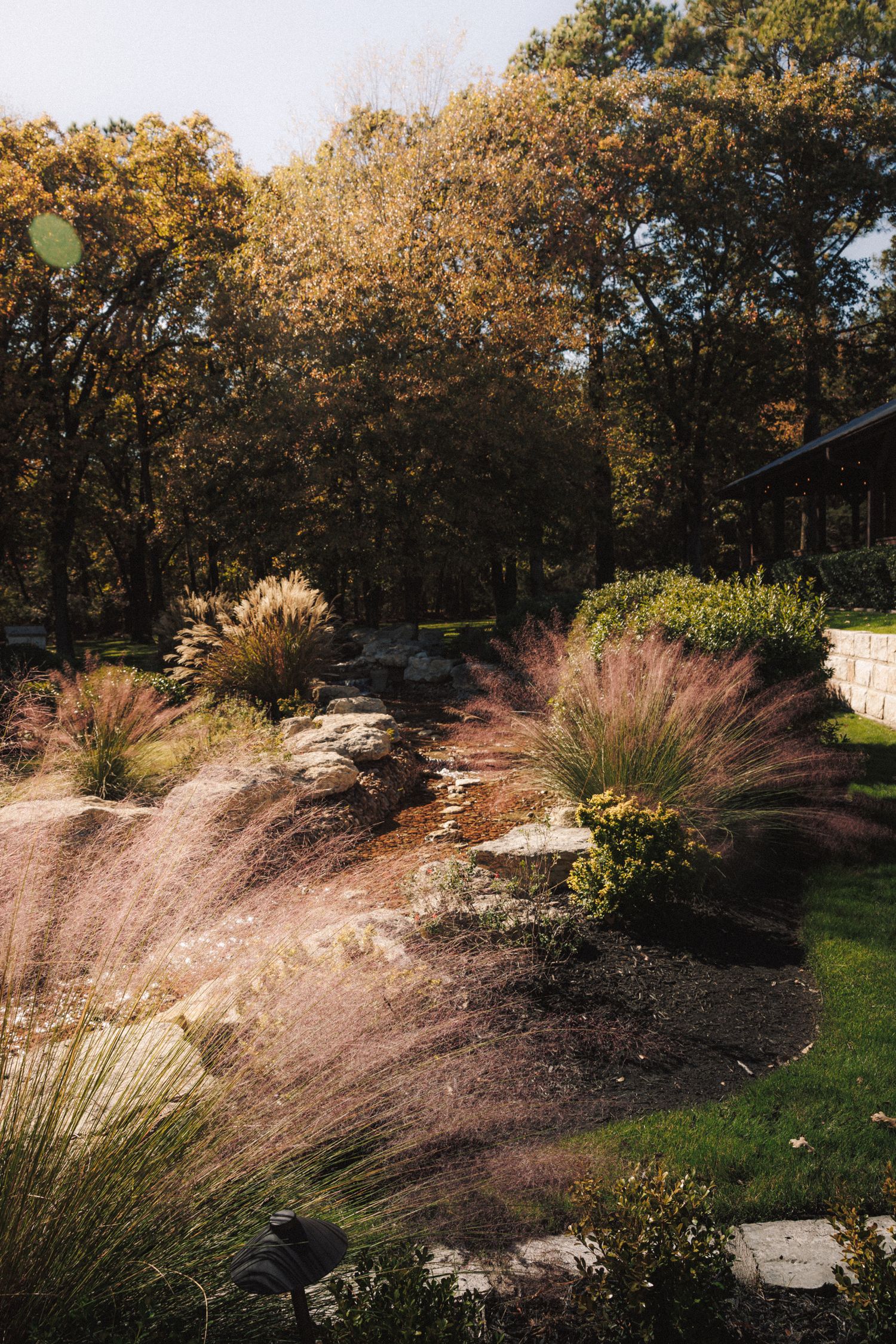 Autumn garden landscape with pink muhly grass, stone steps, and colorful fall foliage trees.