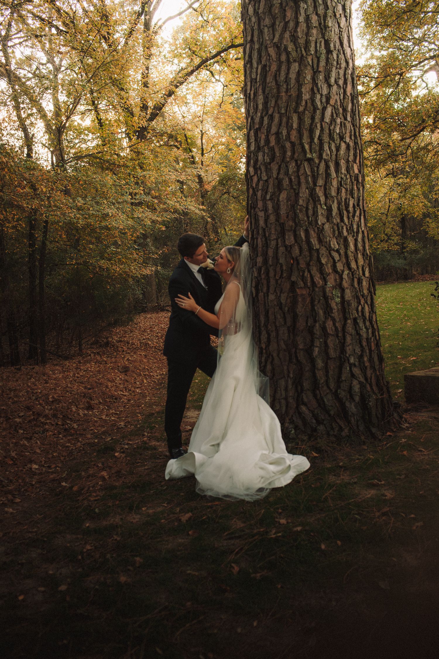 Bride and groom share a kiss leaning against a large tree trunk in a romantic autumn woodland setting.