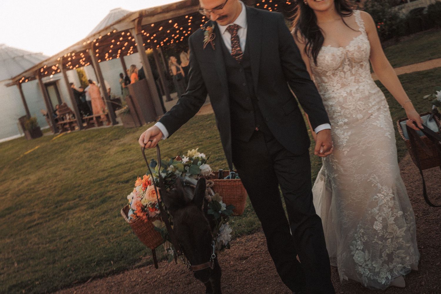 Bride and groom walk together carrying a floral basket on a donkey at a rustic outdoor venue.