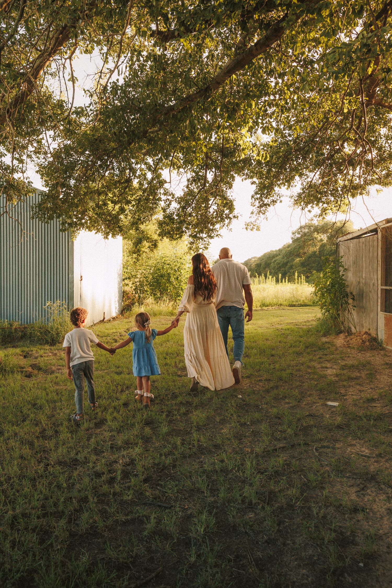 Group walking together at sunset along a grassy hillside near a fence as golden sunlight filters through trees.