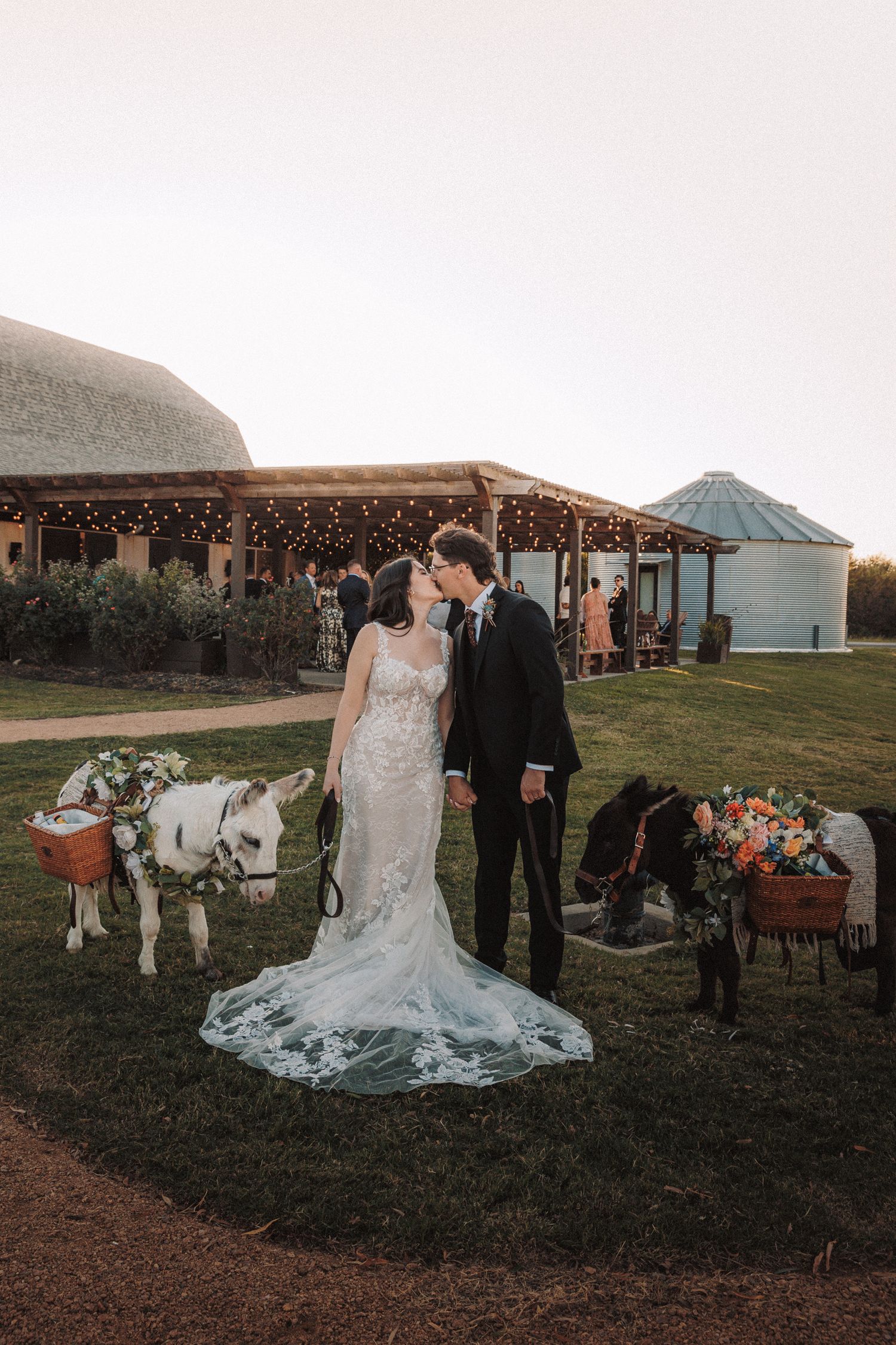 Bride and groom share a kiss surrounded by decorated miniature donkeys at an outdoor rustic wedding venue.