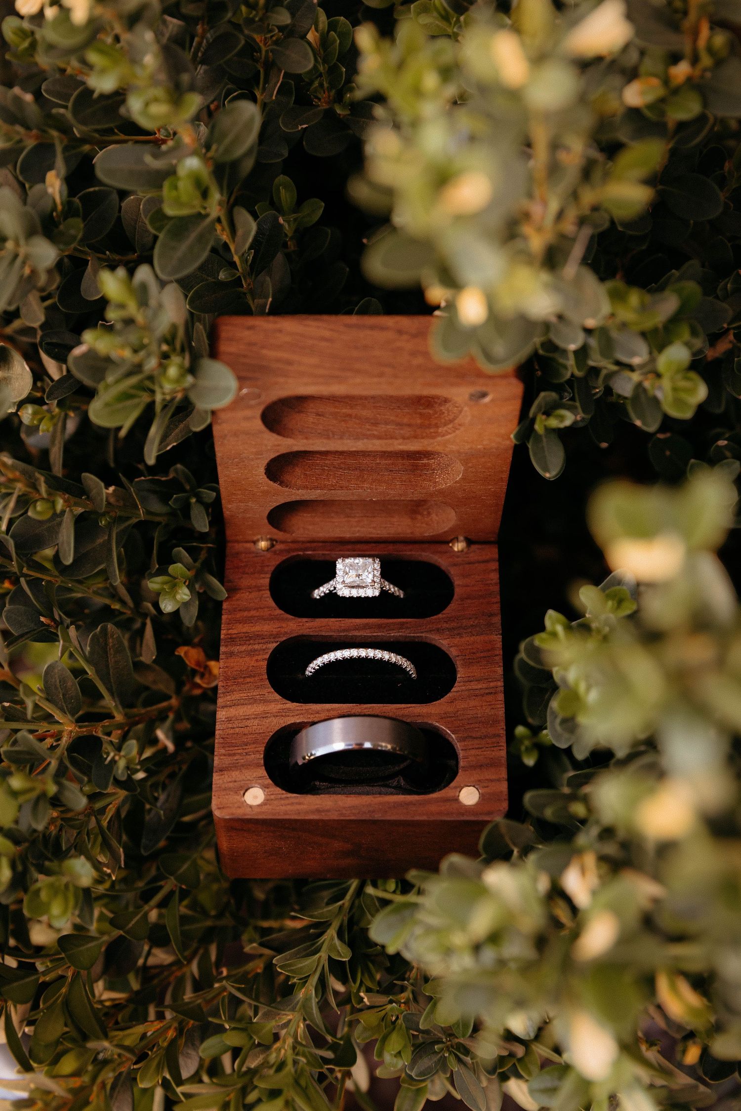 Three elegant diamond engagement rings displayed in wooden boxes against a bokeh background of green leaves.