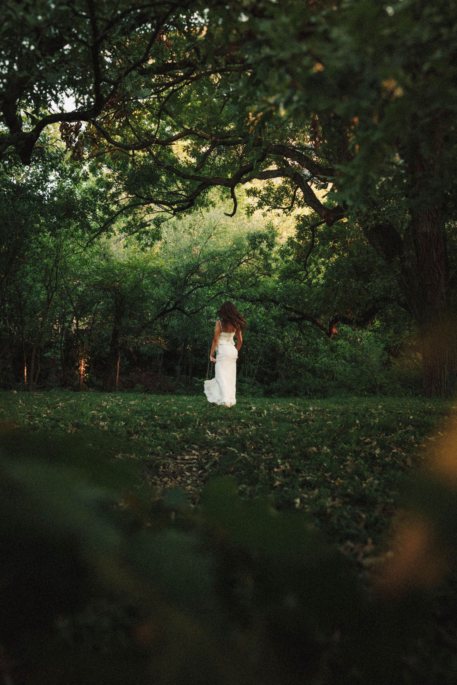 Sunlit green garden pathway through lush foliage captured in a romantic outdoor setting at golden hour.