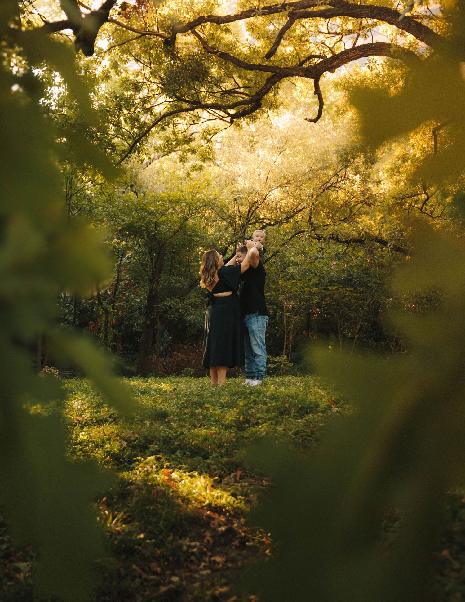 Silhouetted figures stand beneath golden autumn trees at sunset creating a dreamy backlit scene in the forest.