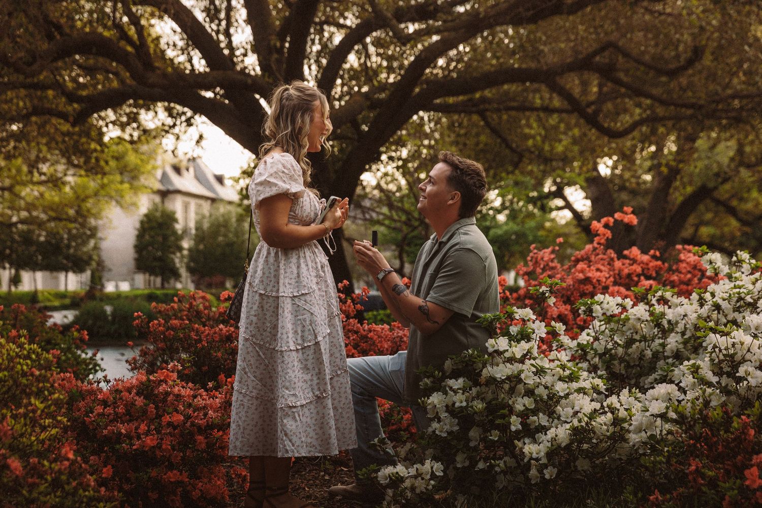 Man proposing to woman in a garden surrounded by red and white azaleas under a large oak tree.