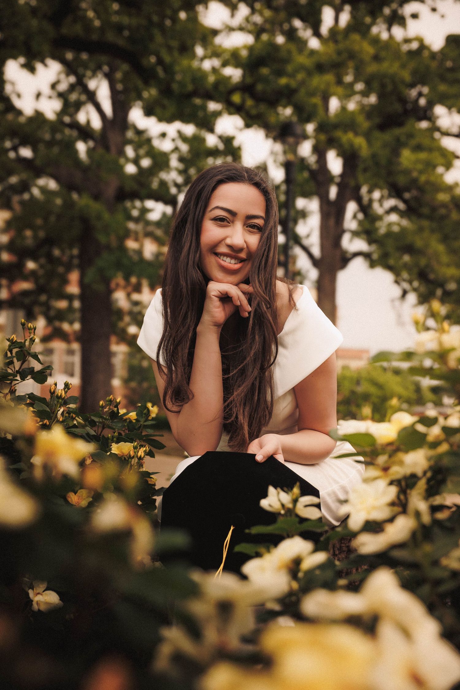Portrait series against a background of sunlit trees and foliage with soft golden hour lighting.