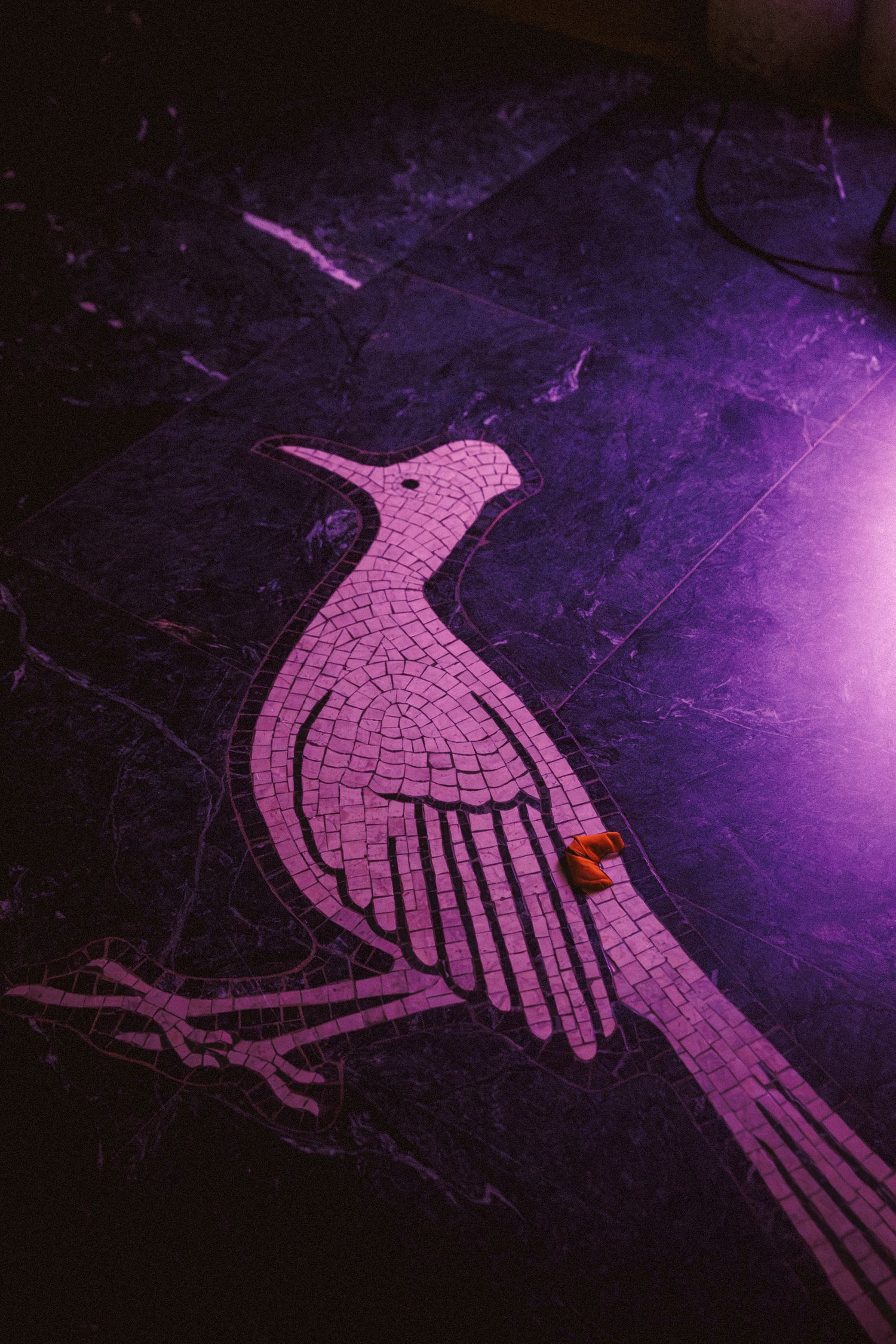 Pink mosaic bird floor art illuminated by purple light with wedding rings placed on it.