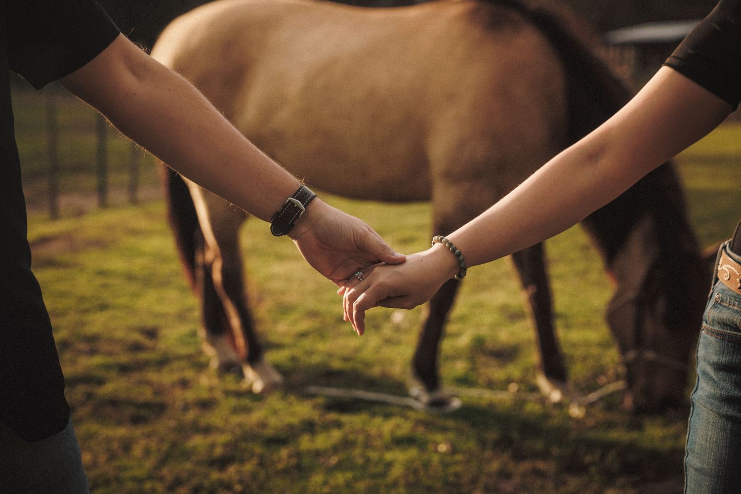 Two people holding hands near a grazing brown horse in a green field.