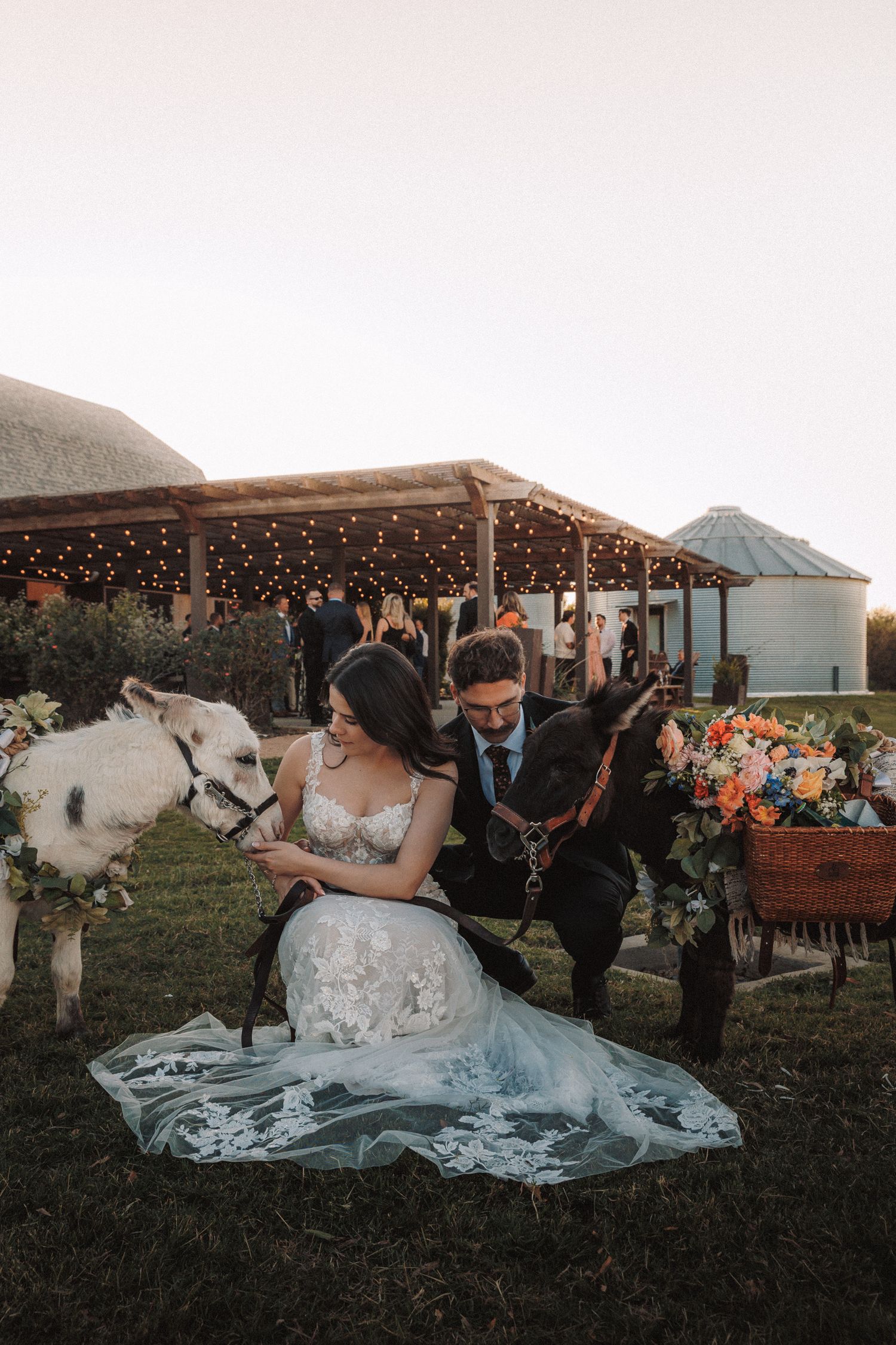 Bride and groom posing with decorated miniature donkeys at rustic outdoor wedding reception venue.