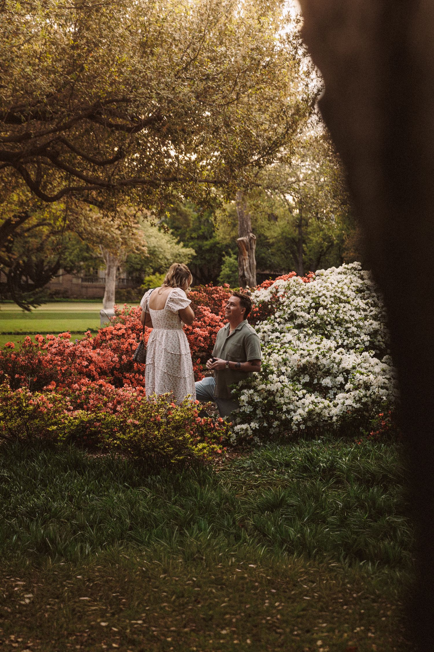 Man kneeling to propose to woman in white dress among vibrant red and white flowering bushes in a lush garden.