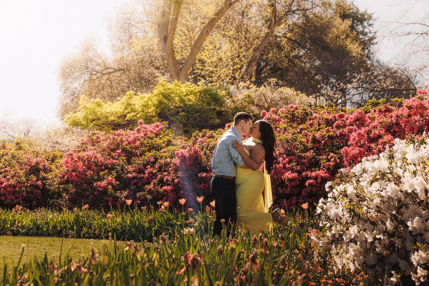 Couple kissing in a vibrant spring garden filled with colorful blooming rhododendrons in bright sunlight.