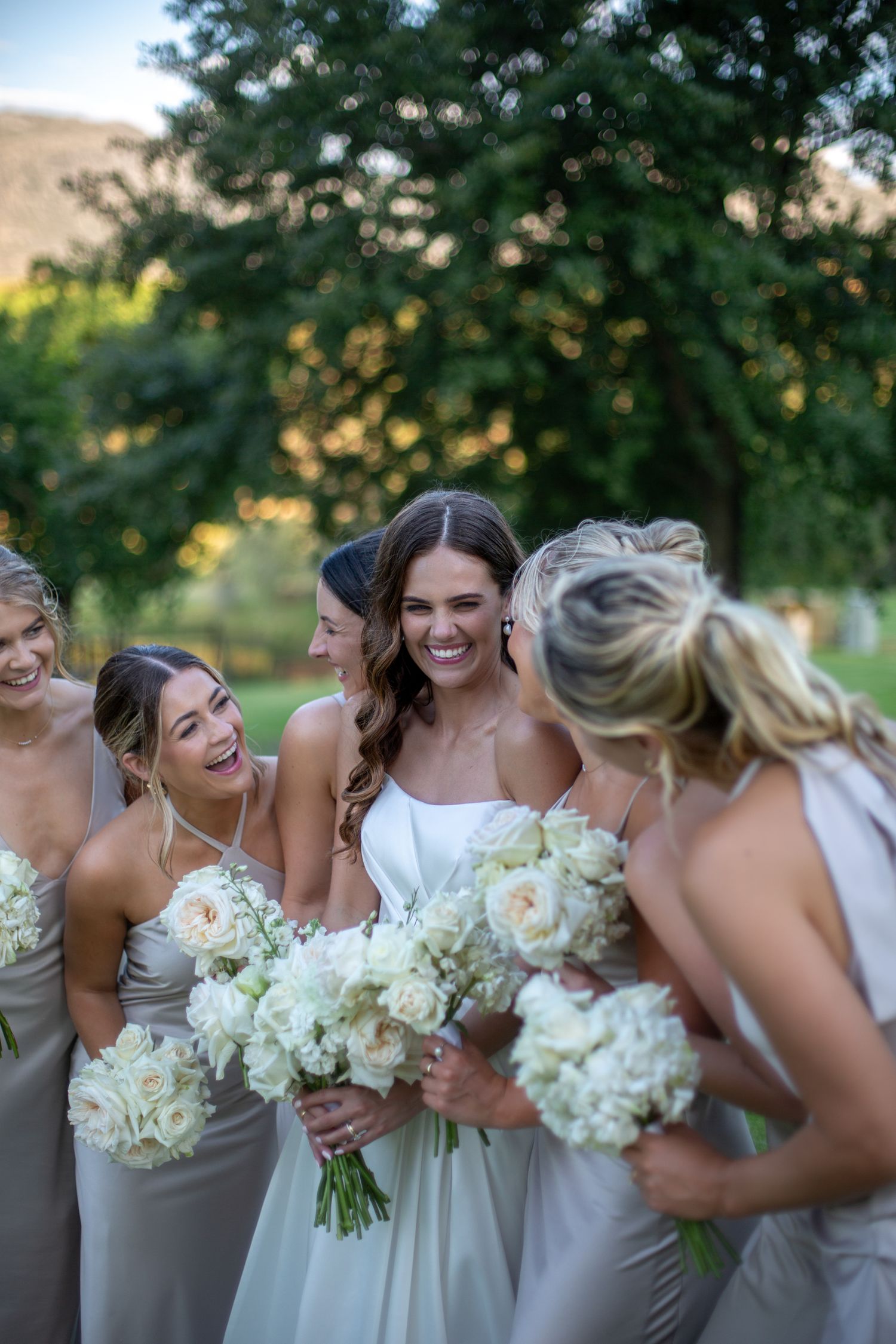 Bride and groom ceremony at Webersburg Wine Farm, Stellenbosch
