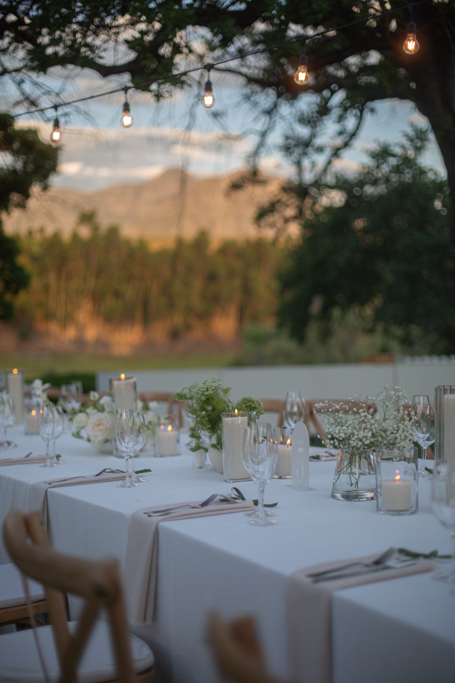 Bride and groom ceremony at Webersburg Wine Farm, Stellenbosch