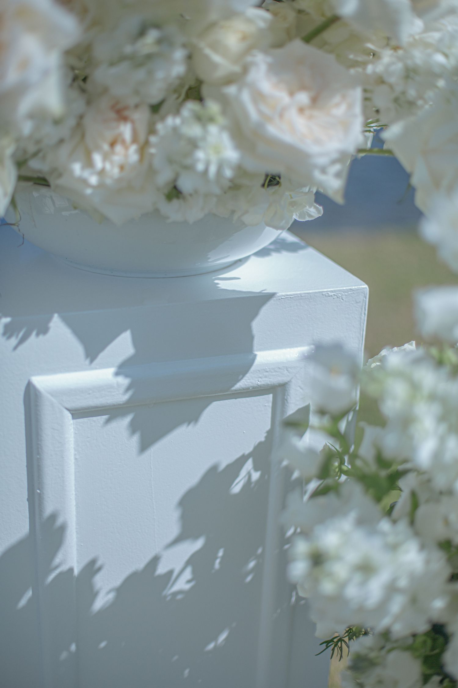 Bride and groom ceremony at Webersburg Wine Farm, Stellenbosch