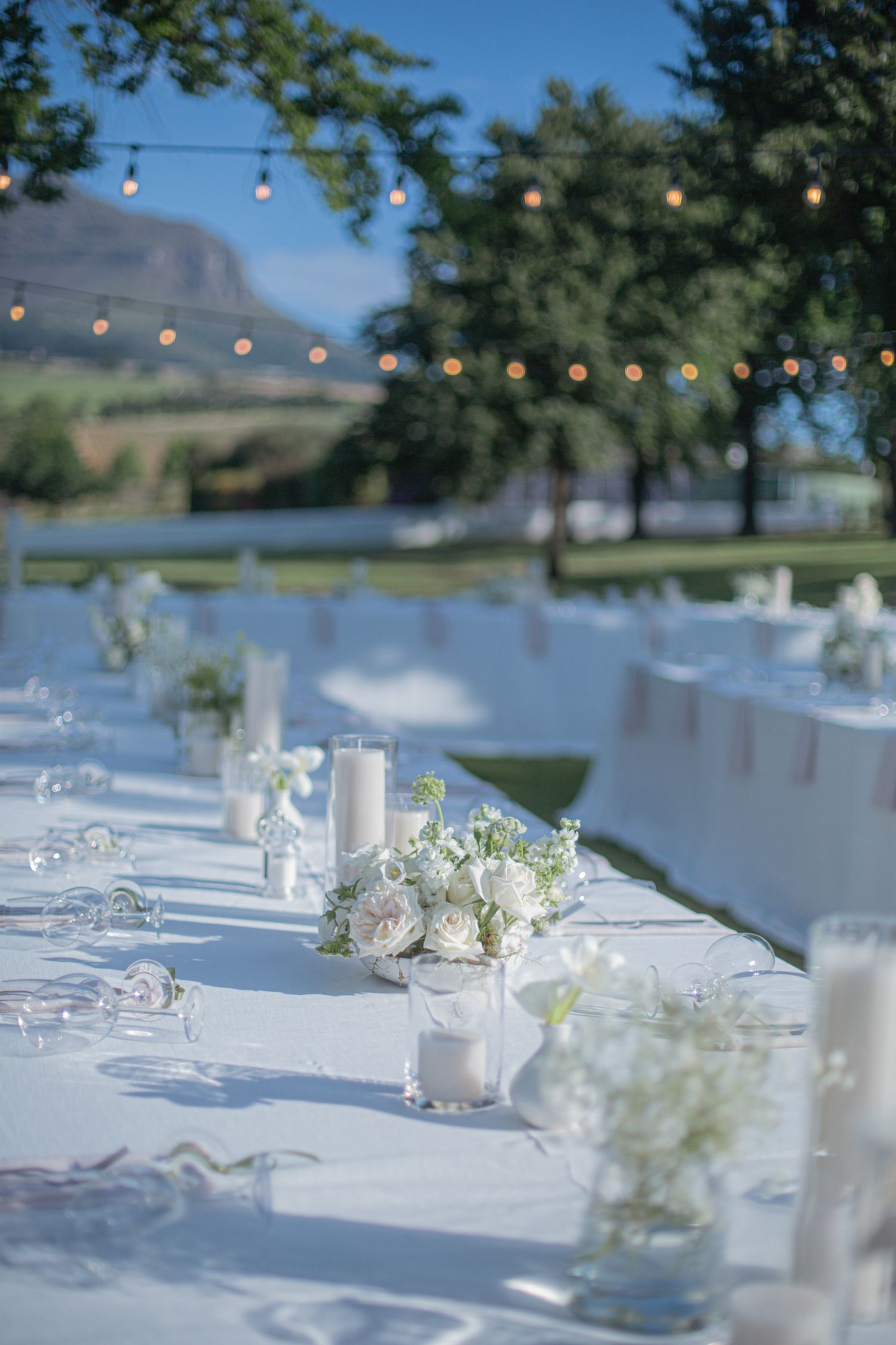 Bride and groom ceremony at Webersburg Wine Farm, Stellenbosch