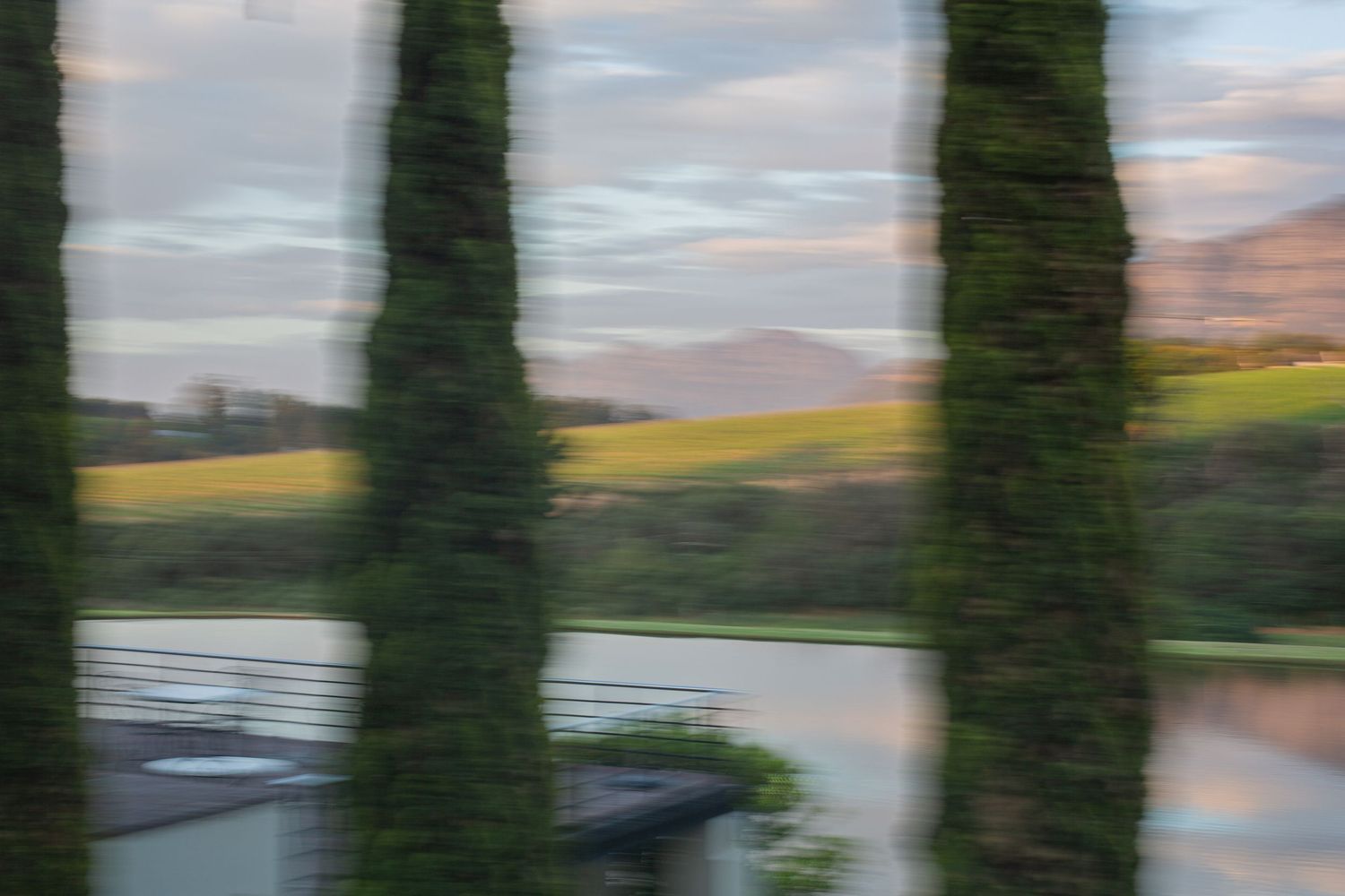 Bride and groom ceremony at Webersburg Wine Farm, Stellenbosch