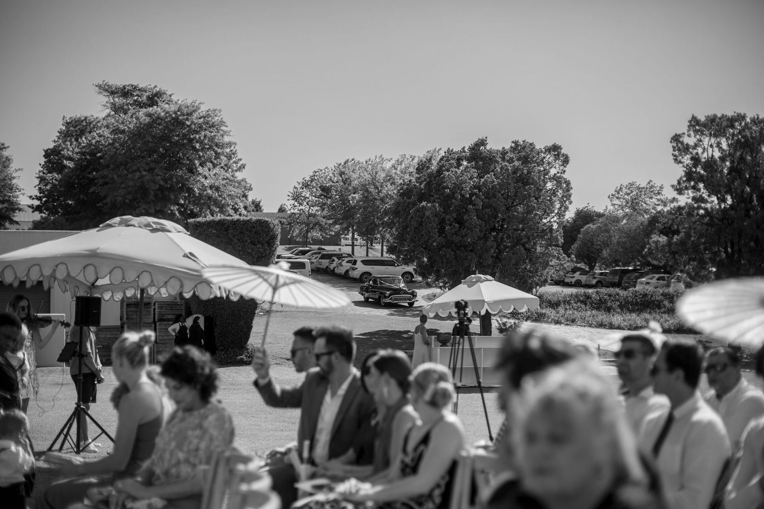 Bride and groom ceremony at Webersburg Wine Farm, Stellenbosch