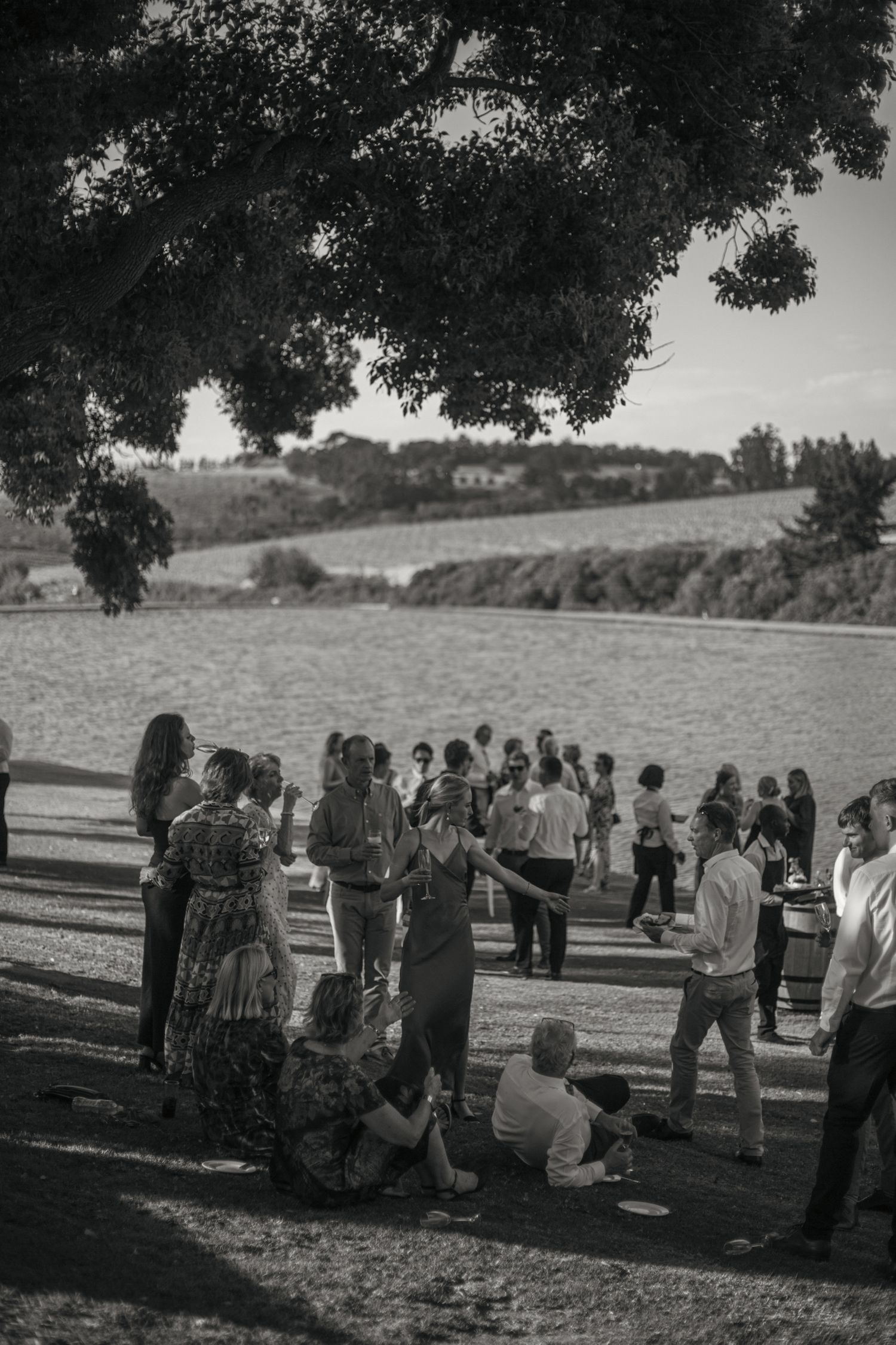 Bride and groom ceremony at Webersburg Wine Farm, Stellenbosch