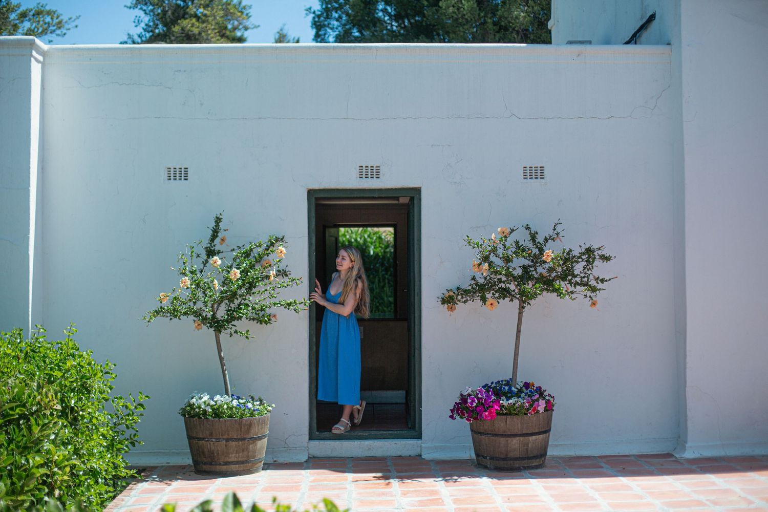 Bride and groom ceremony at Webersburg Wine Farm, Stellenbosch