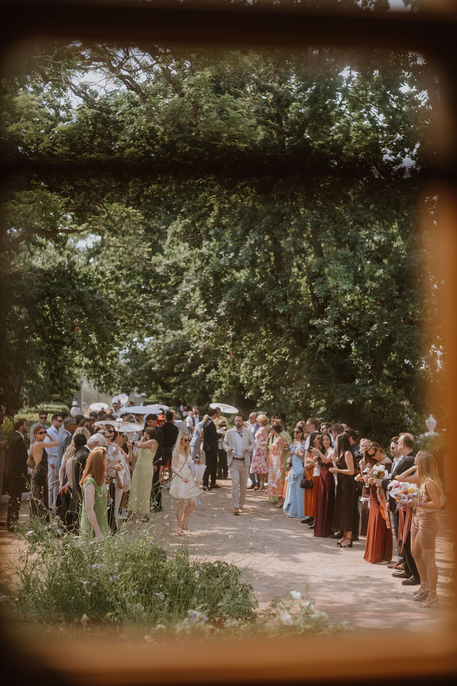 Bride and groom ceremony at Vrede en Lust Wine Estate, Paarl