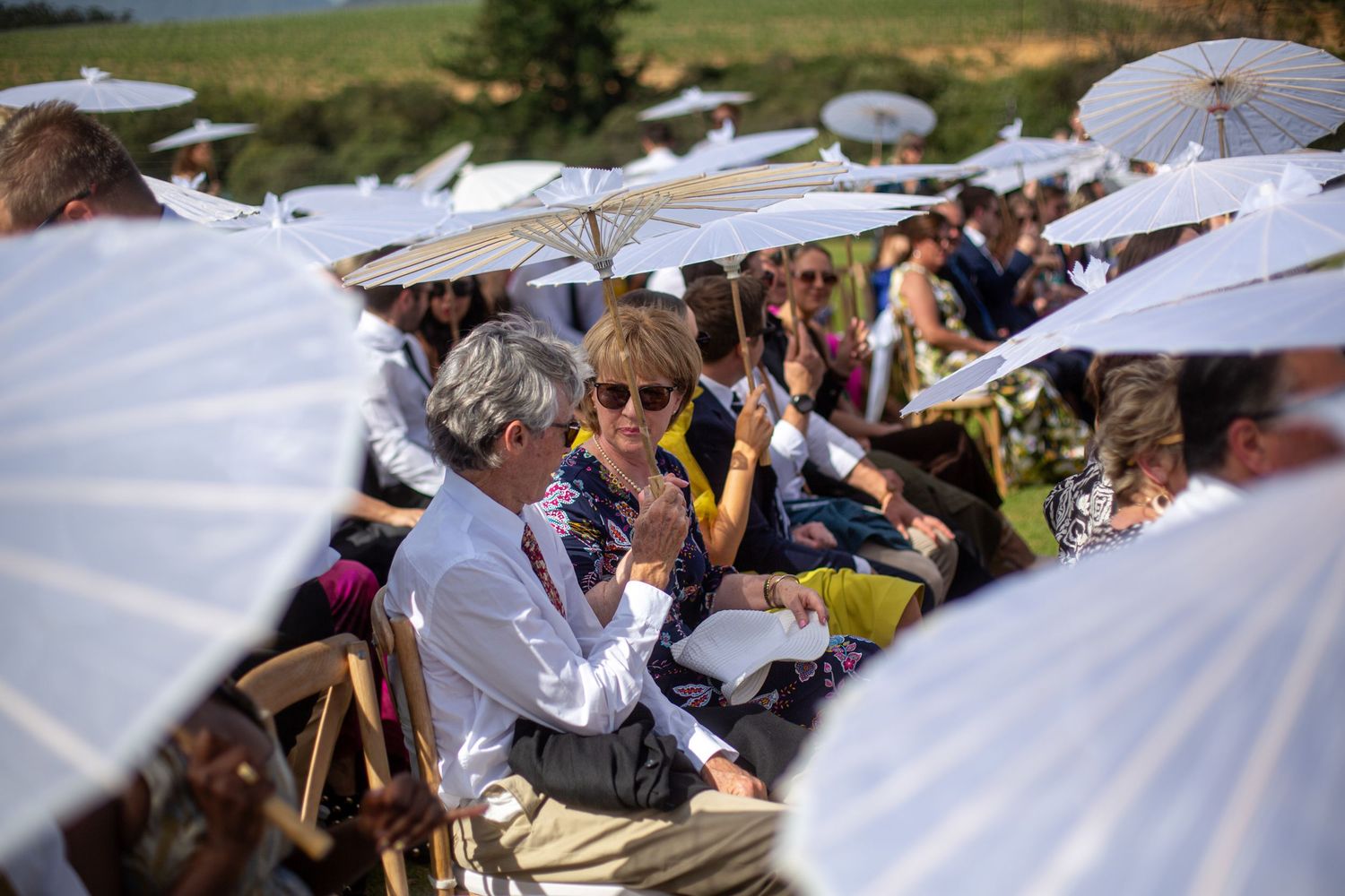 Bride and groom ceremony at Webersburg Wine Farm, Stellenbosch