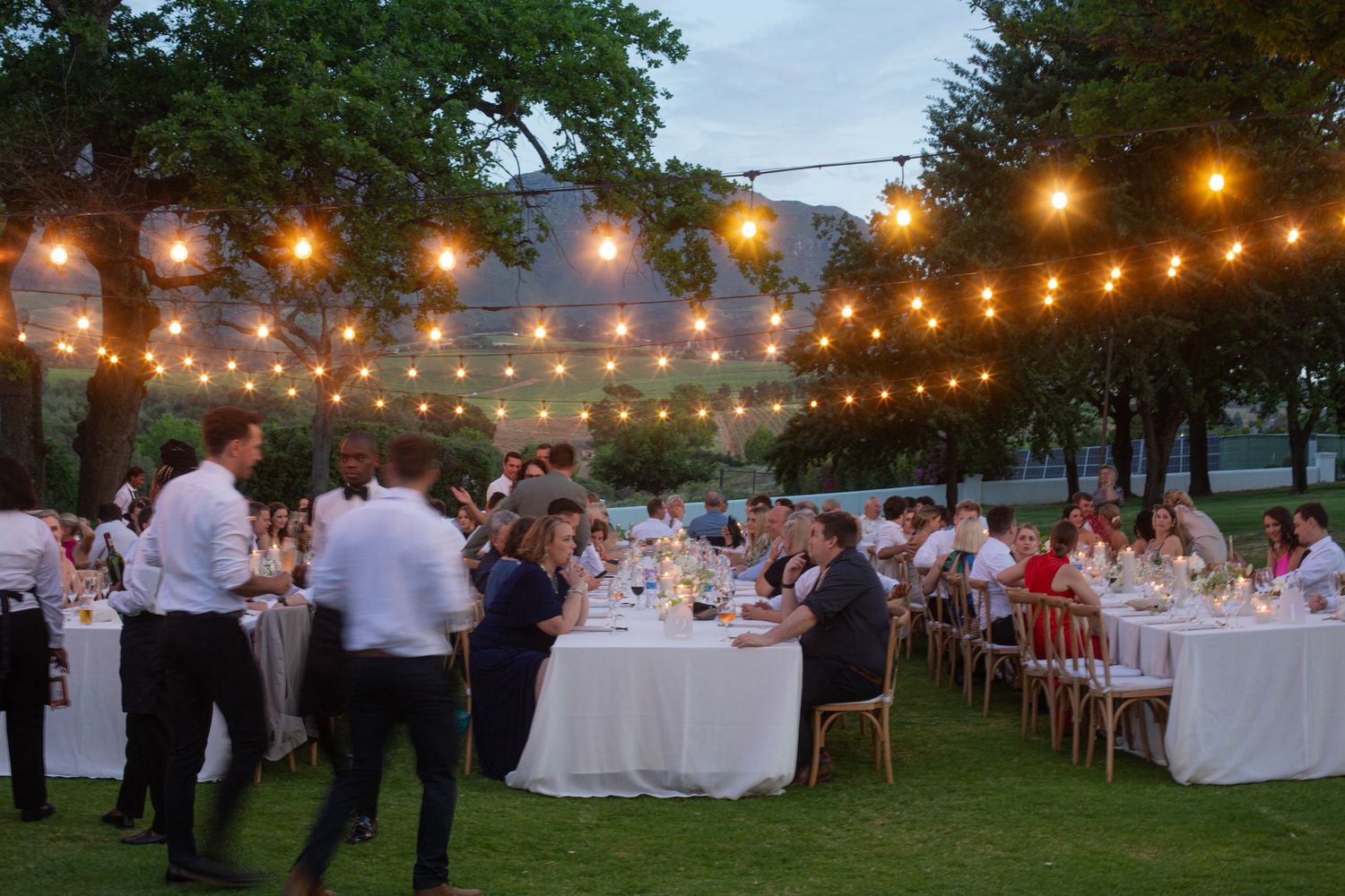 Bride and groom ceremony at Webersburg Wine Farm, Stellenbosch
