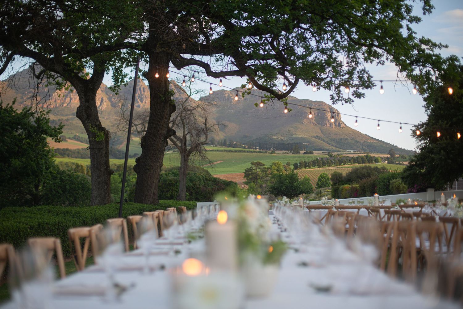 Bride and groom ceremony at Webersburg Wine Farm, Stellenbosch