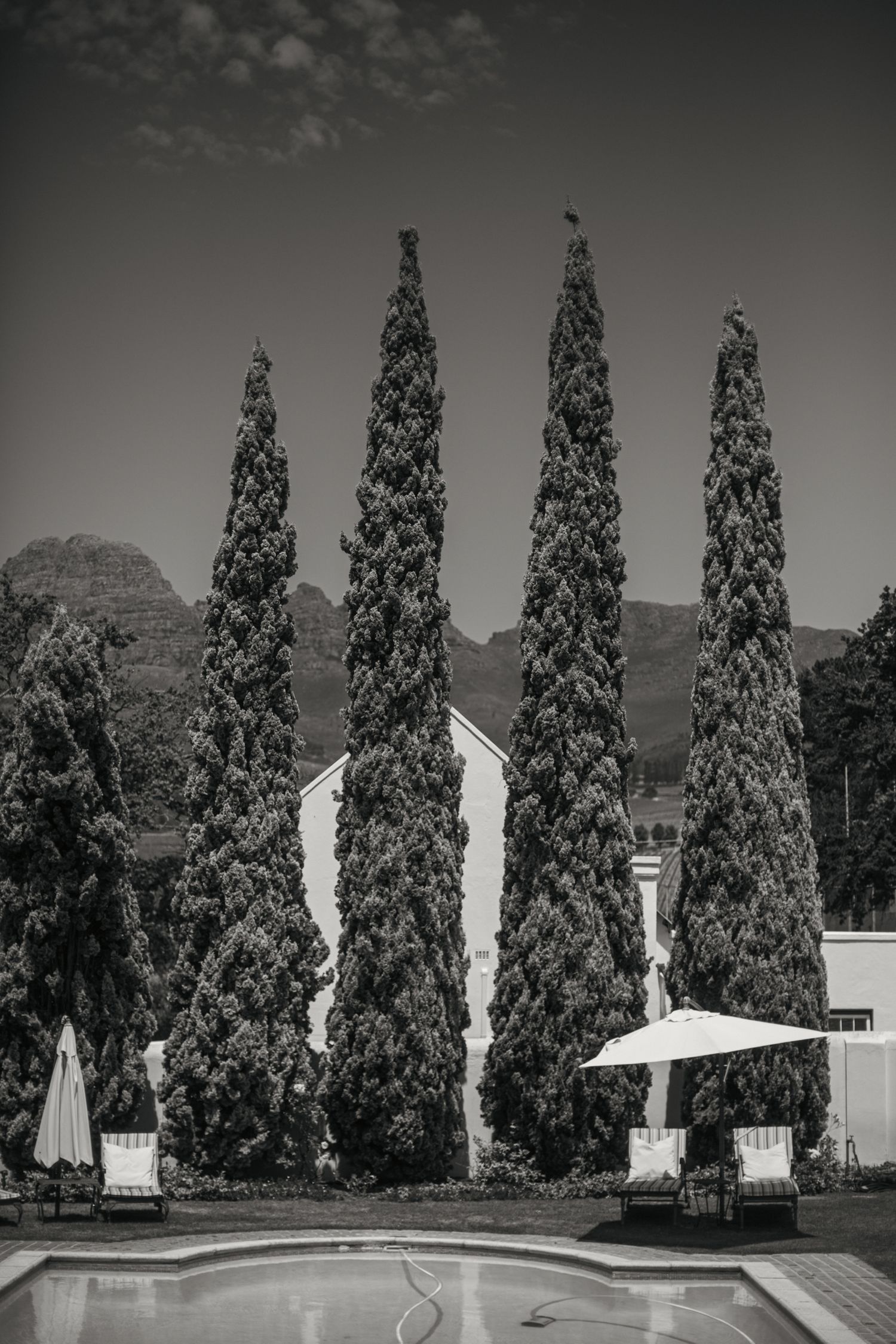 Bride and groom ceremony at Webersburg Wine Farm, Stellenbosch