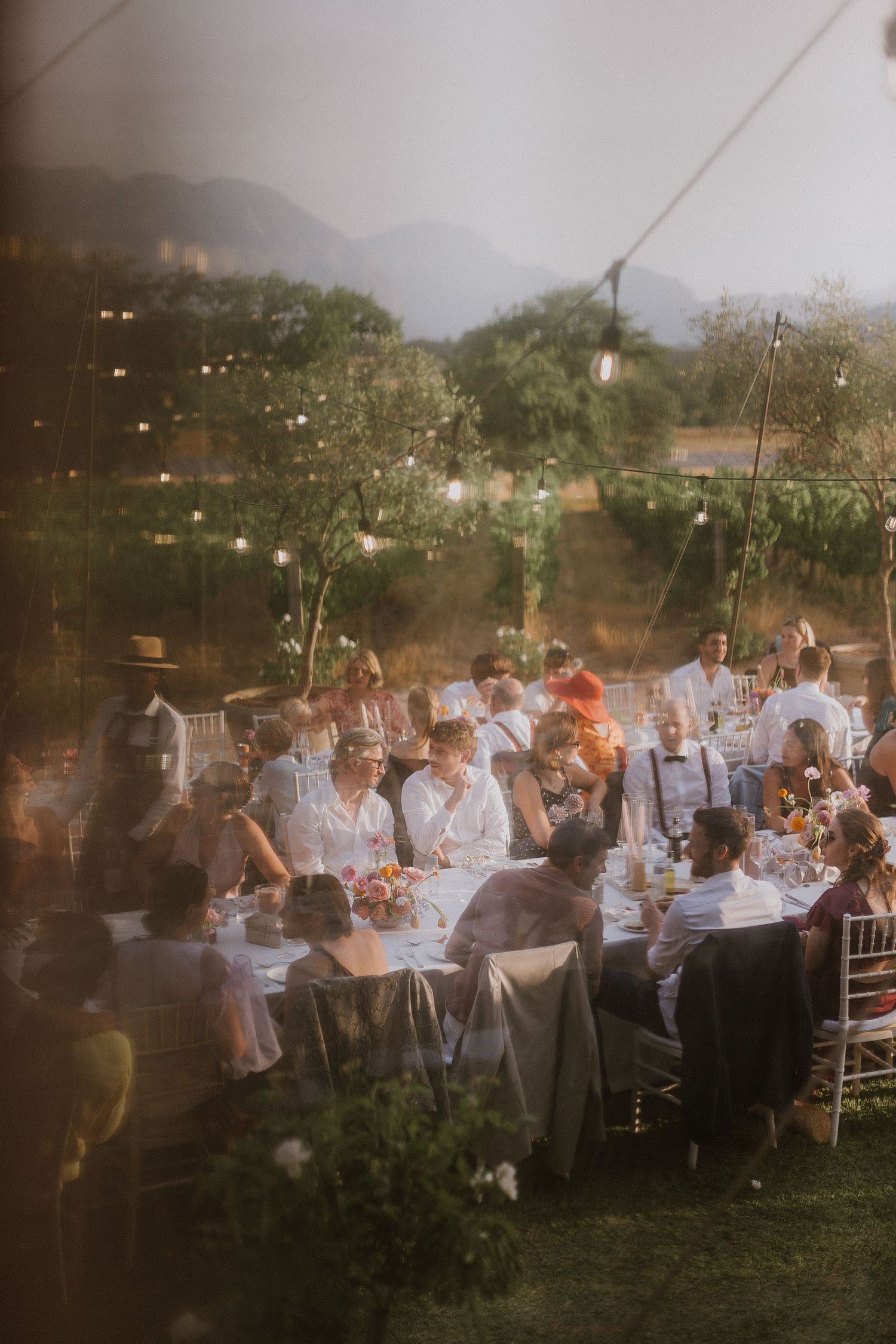 Bride and groom ceremony at Vrede en Lust Wine Estate, Paarl