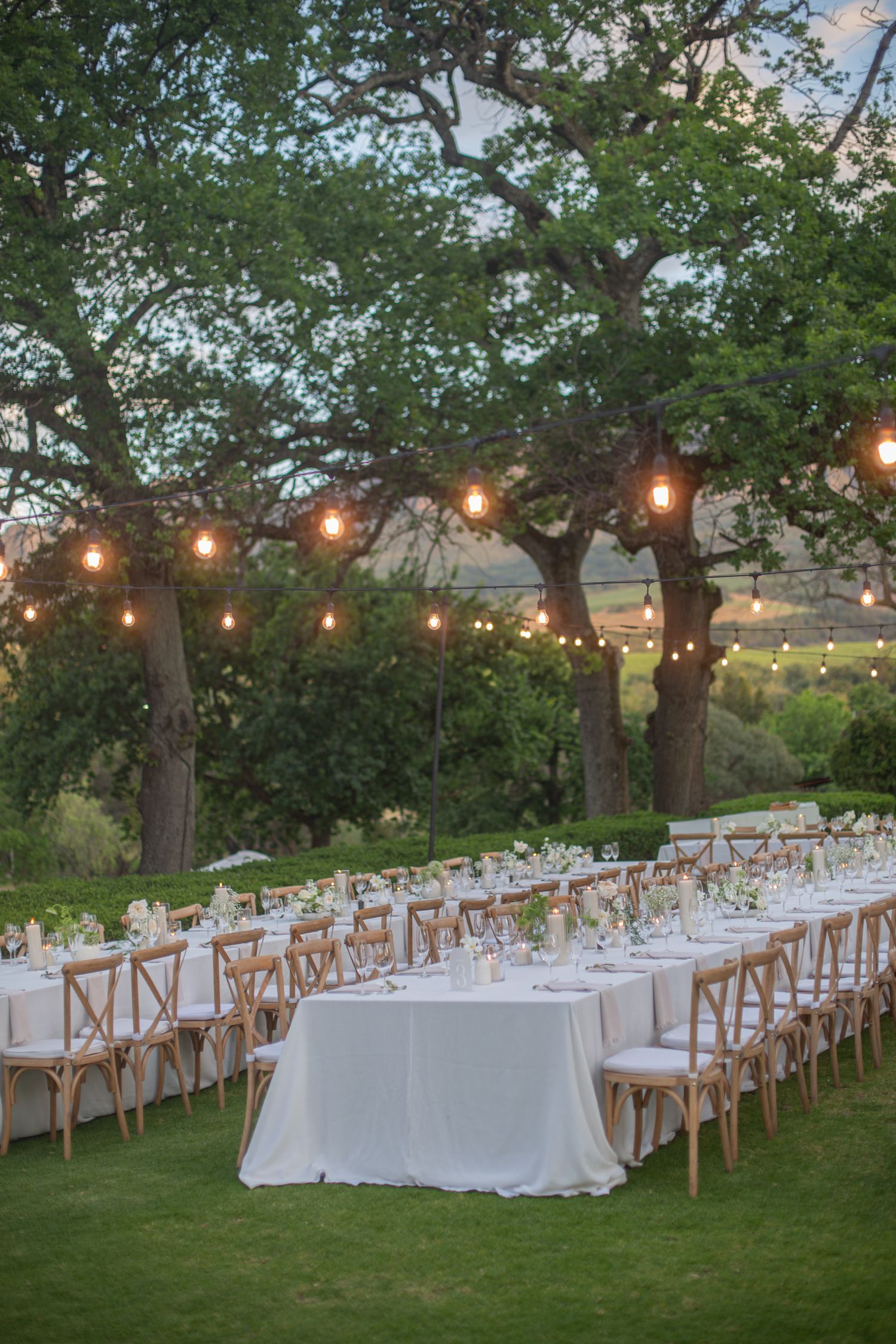 Bride and groom ceremony at Webersburg Wine Farm, Stellenbosch