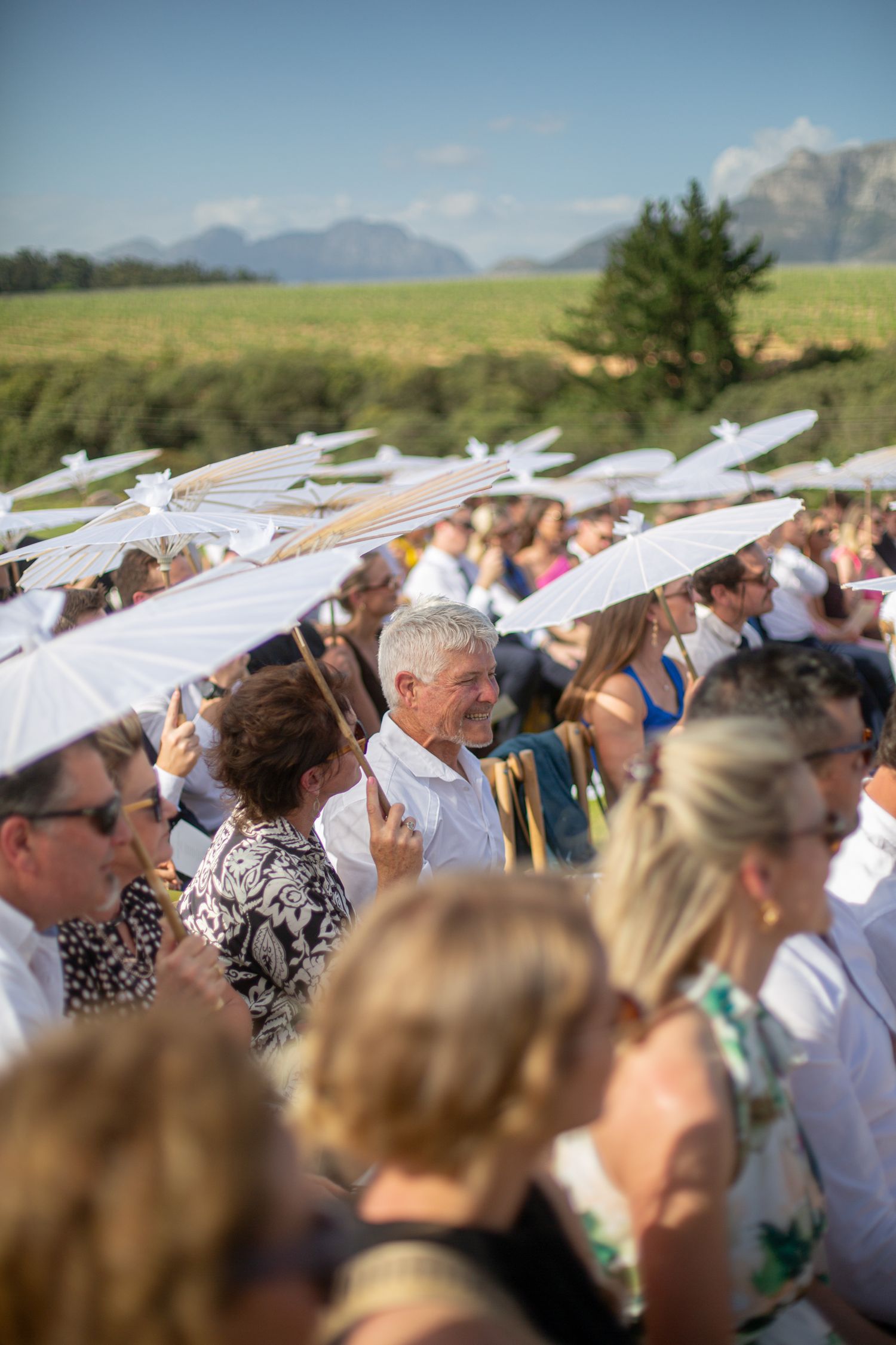 Bride and groom ceremony at Webersburg Wine Farm, Stellenbosch