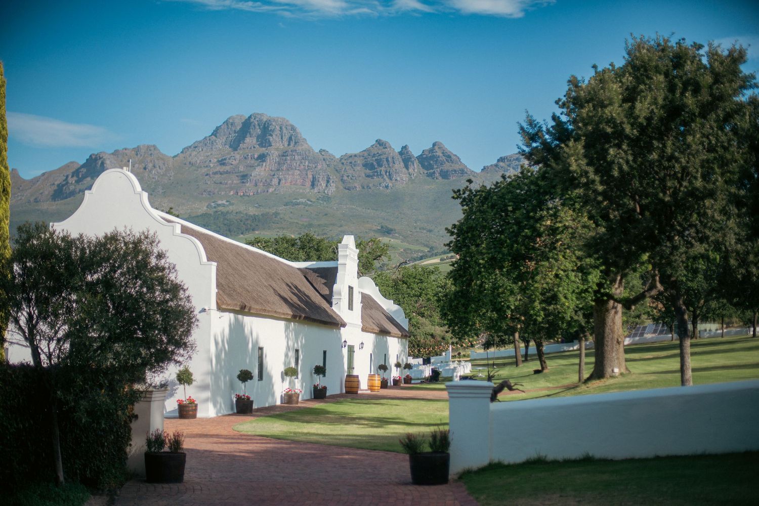 Bride and groom ceremony at Webersburg Wine Farm, Stellenbosch